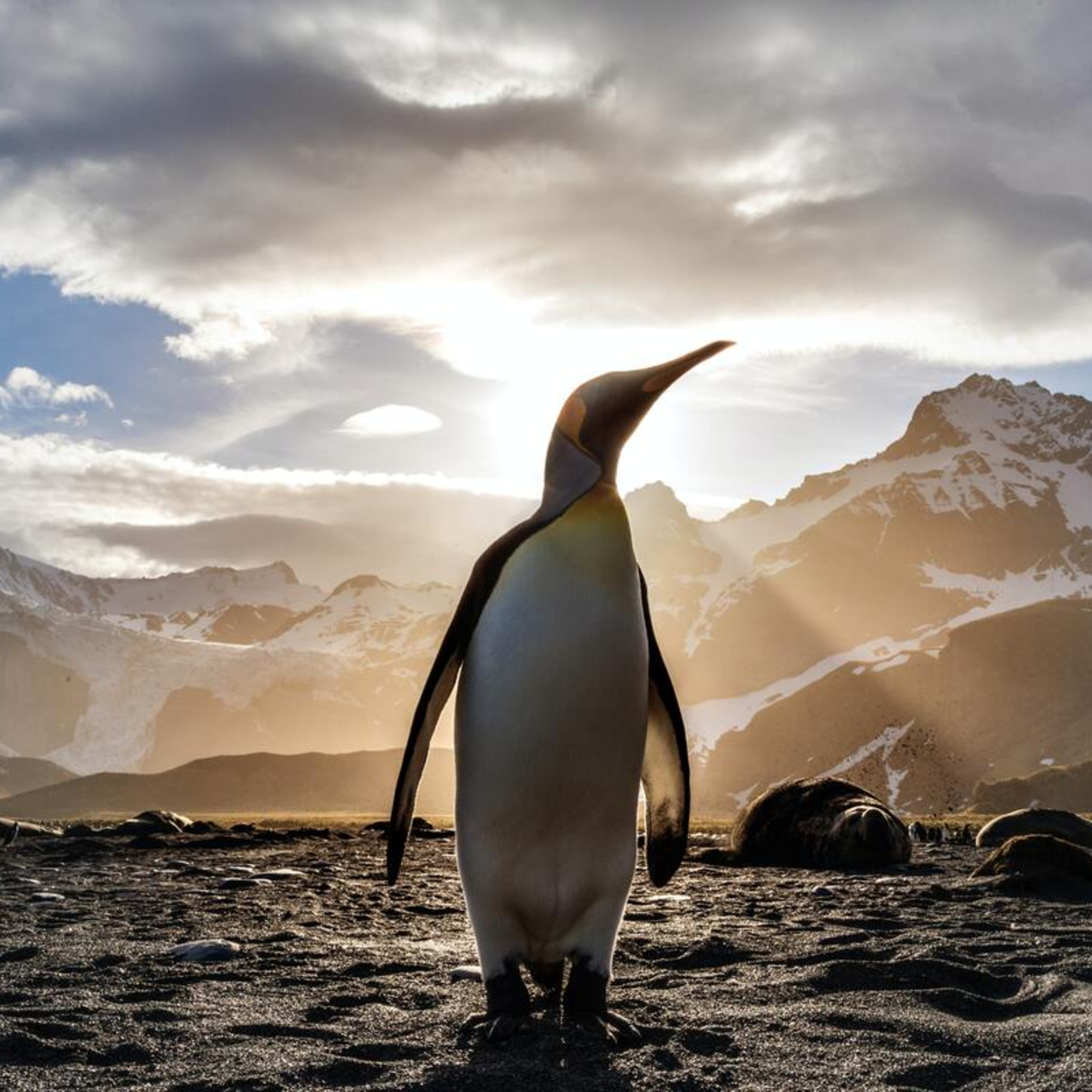 Atareao con Linux