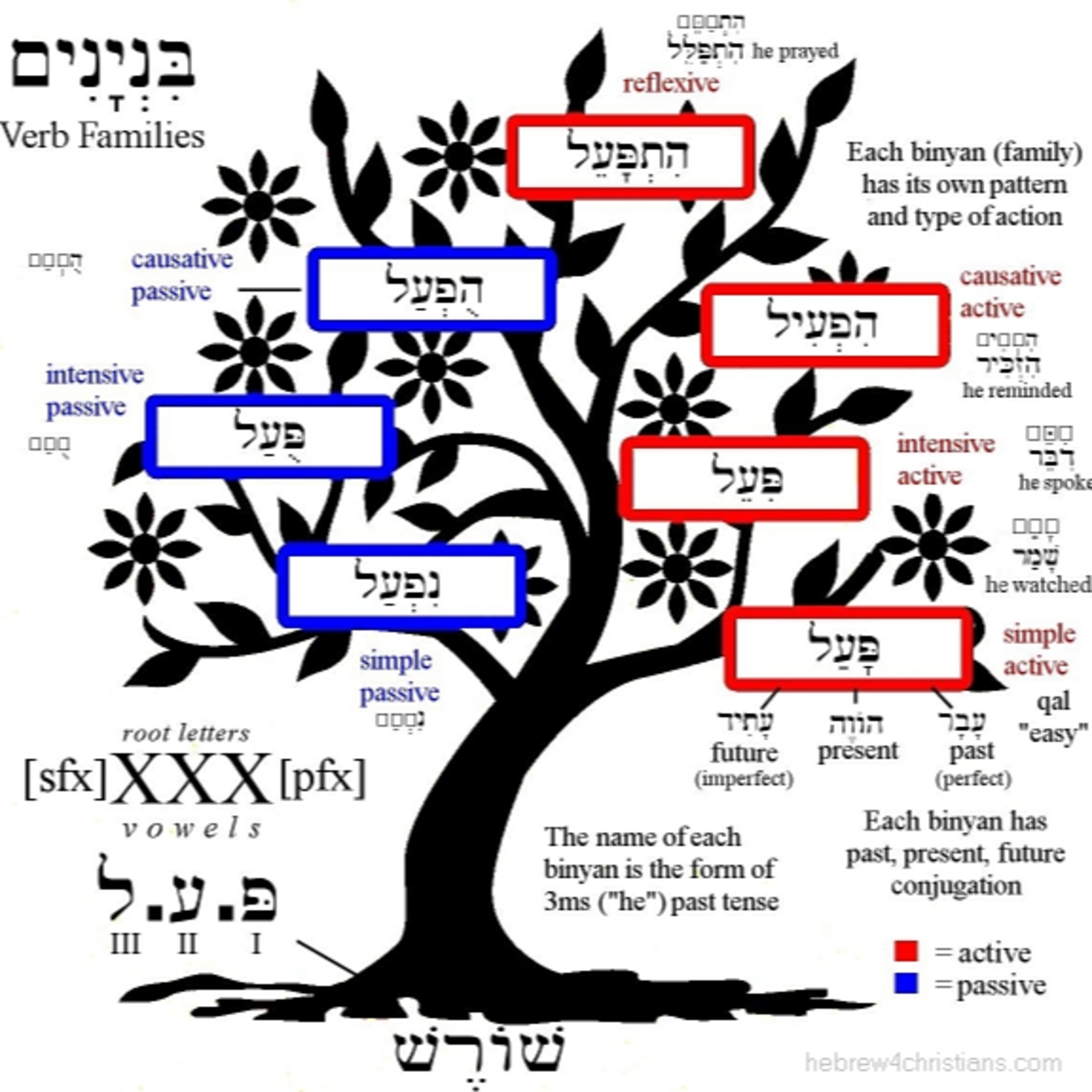 Read of Dueteronomy 2 episode artwork
