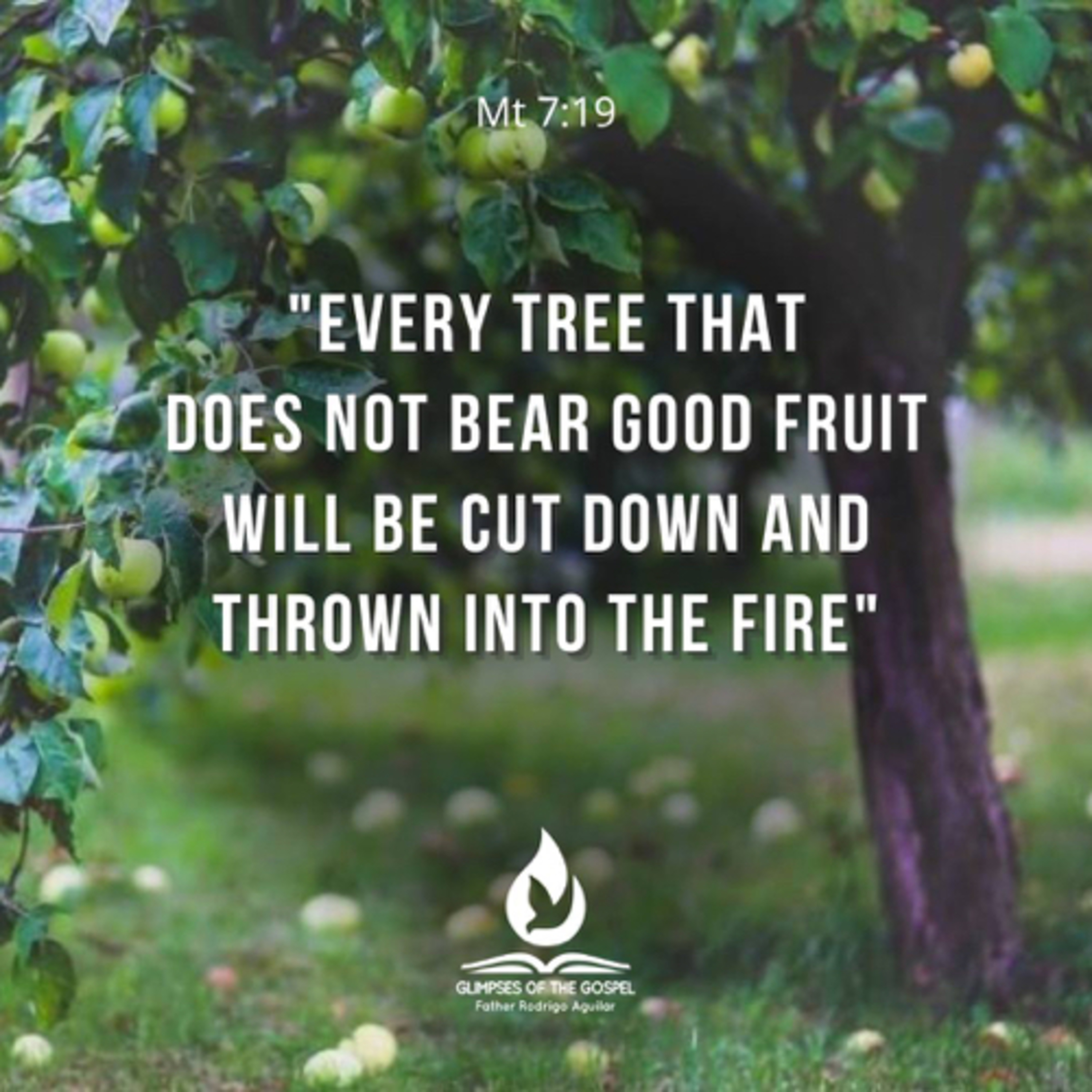 June 28, 2023 - XII Wednesday in Ordinary Time + Memorial of Saint Irenaeus, Bishop and Martyr episode artwork