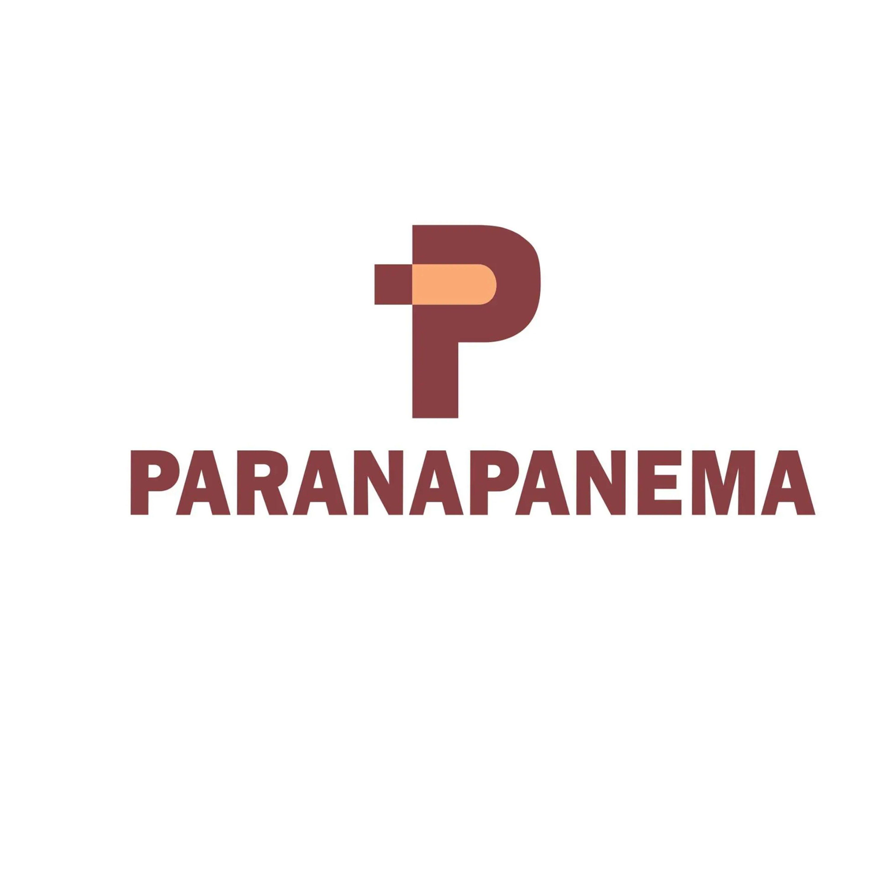 PMAM3 - 2T22 - Paranapanema - Teleconferência de Resultados episode artwork