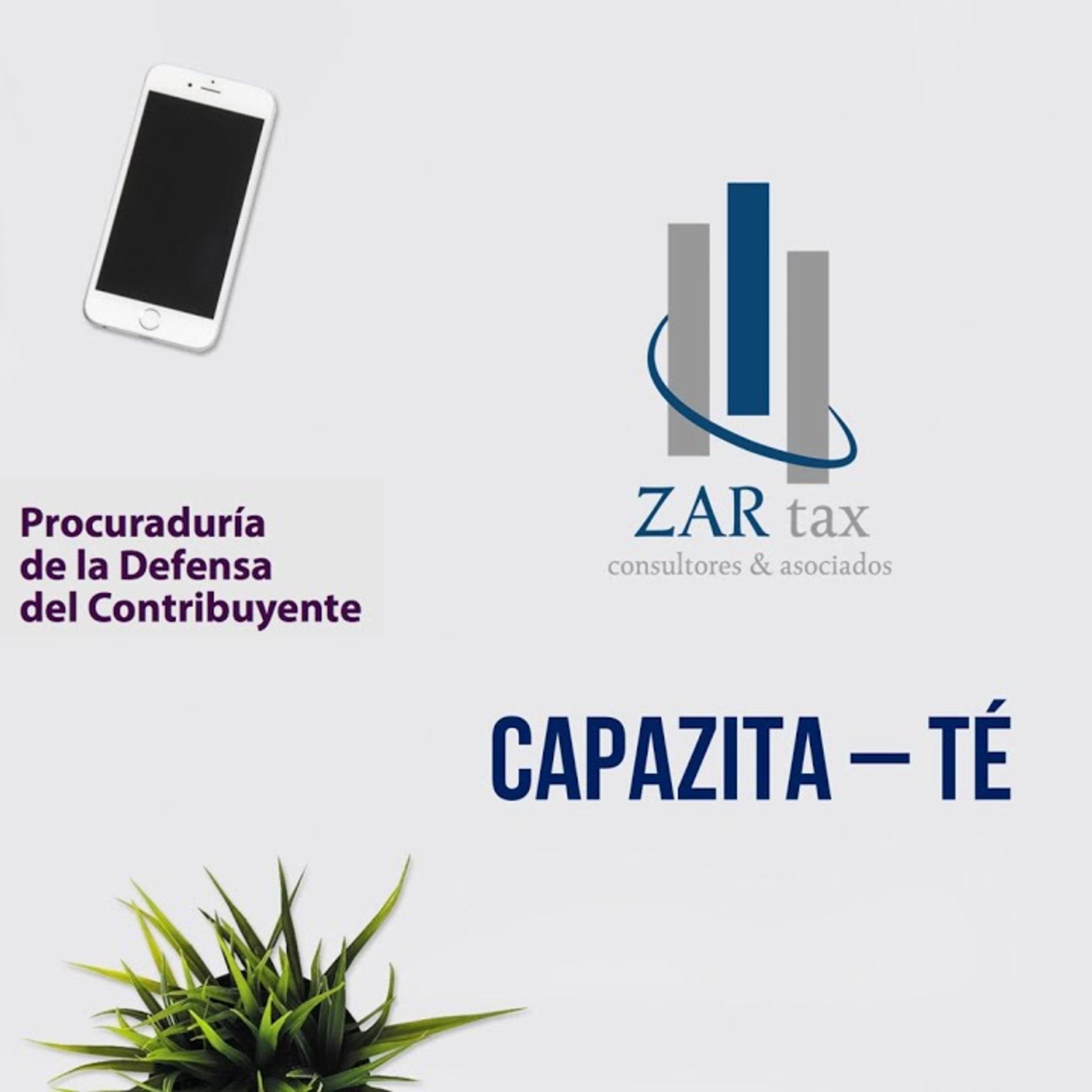 Capazita-Té estudios fiscales, legales y algo más