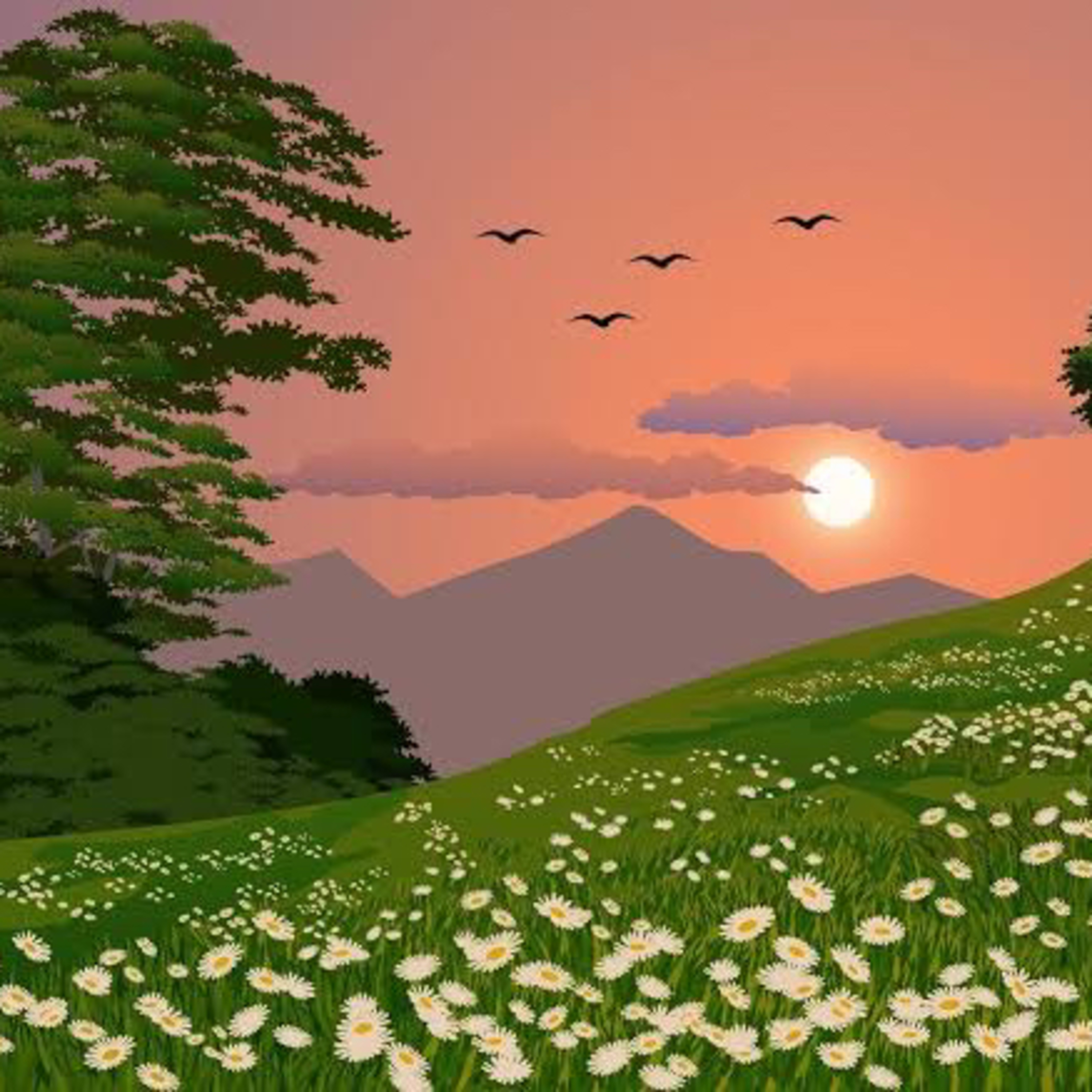 Sol de primavera episode artwork
