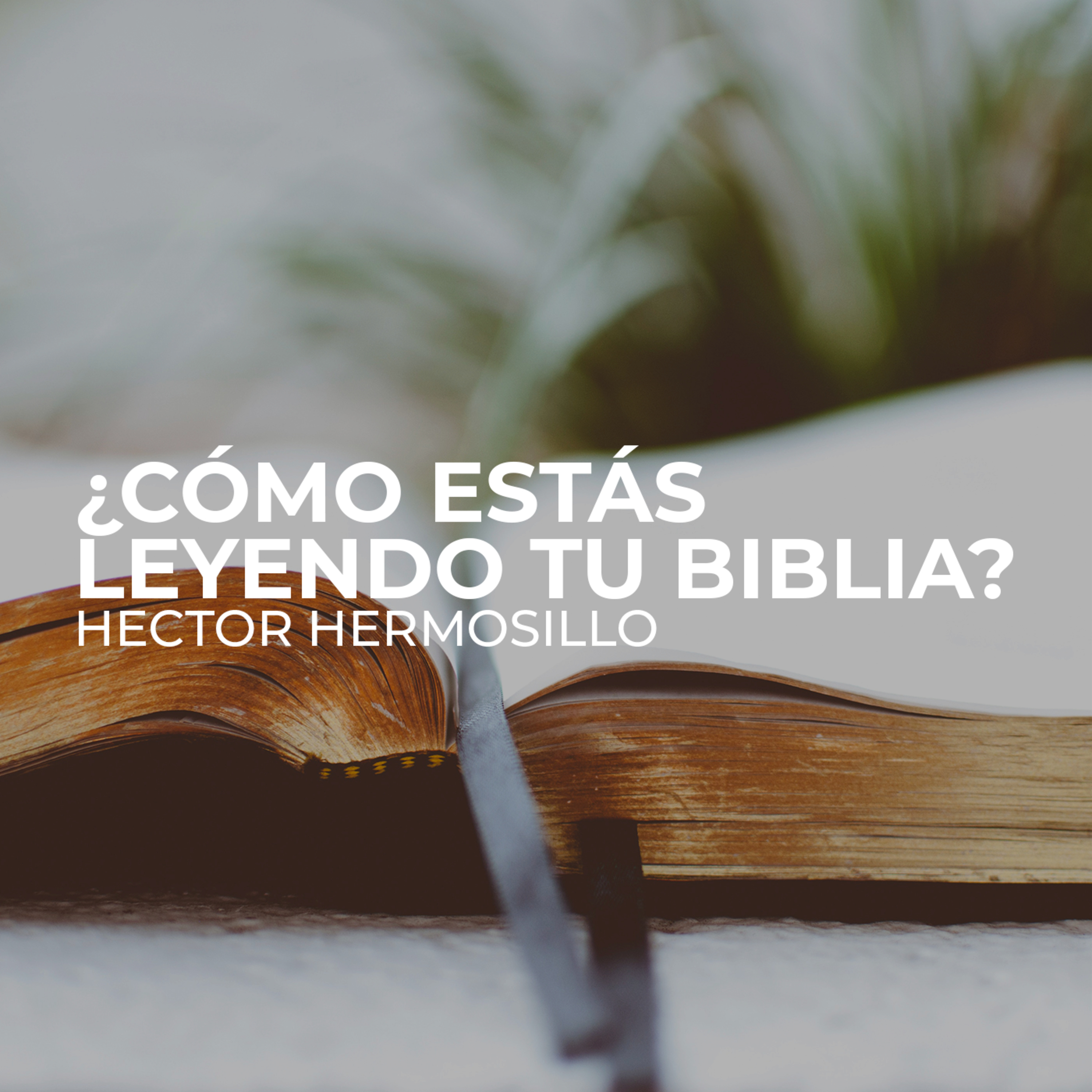 Semilla Veracruz Podcast