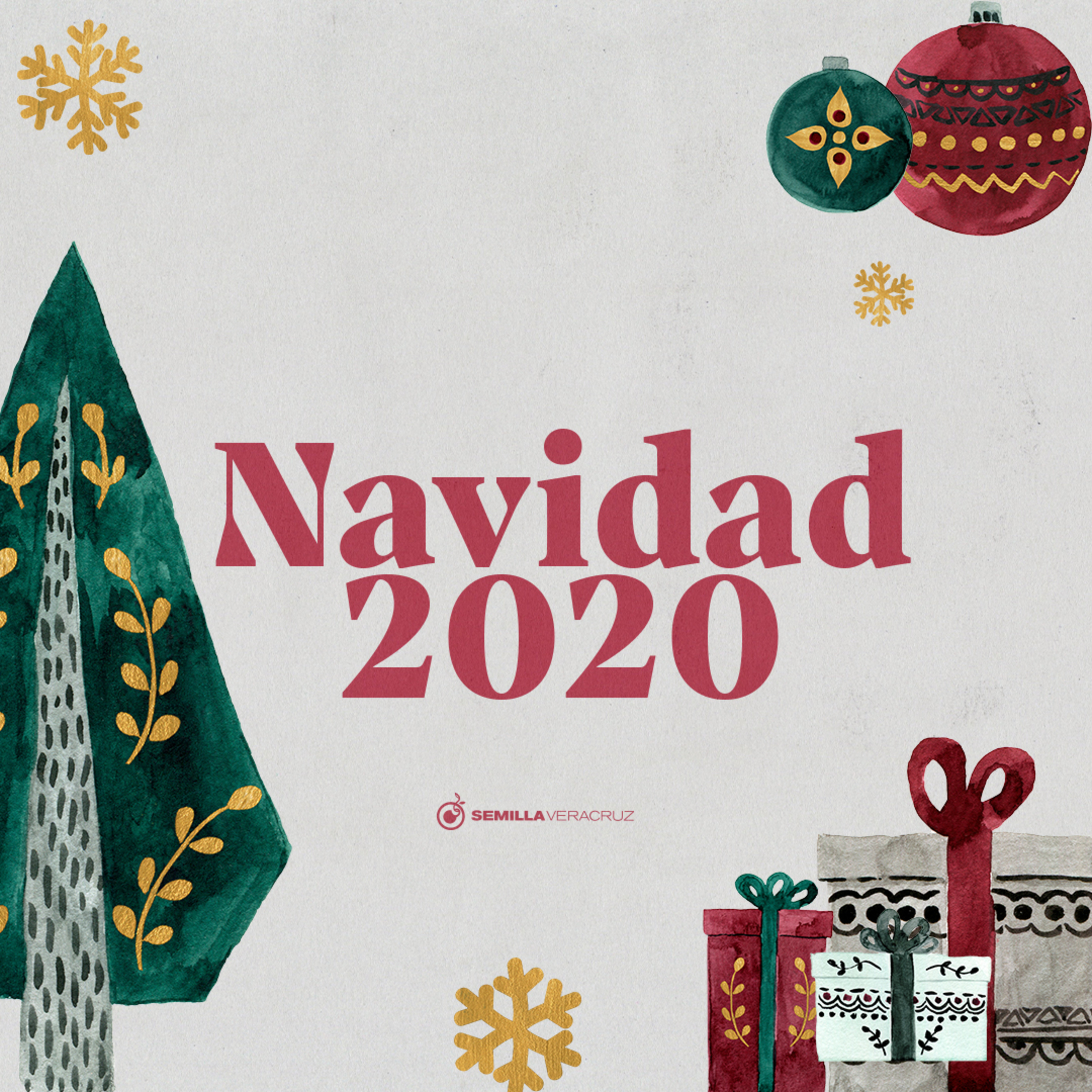 Especial de Navidad 2020 episode artwork