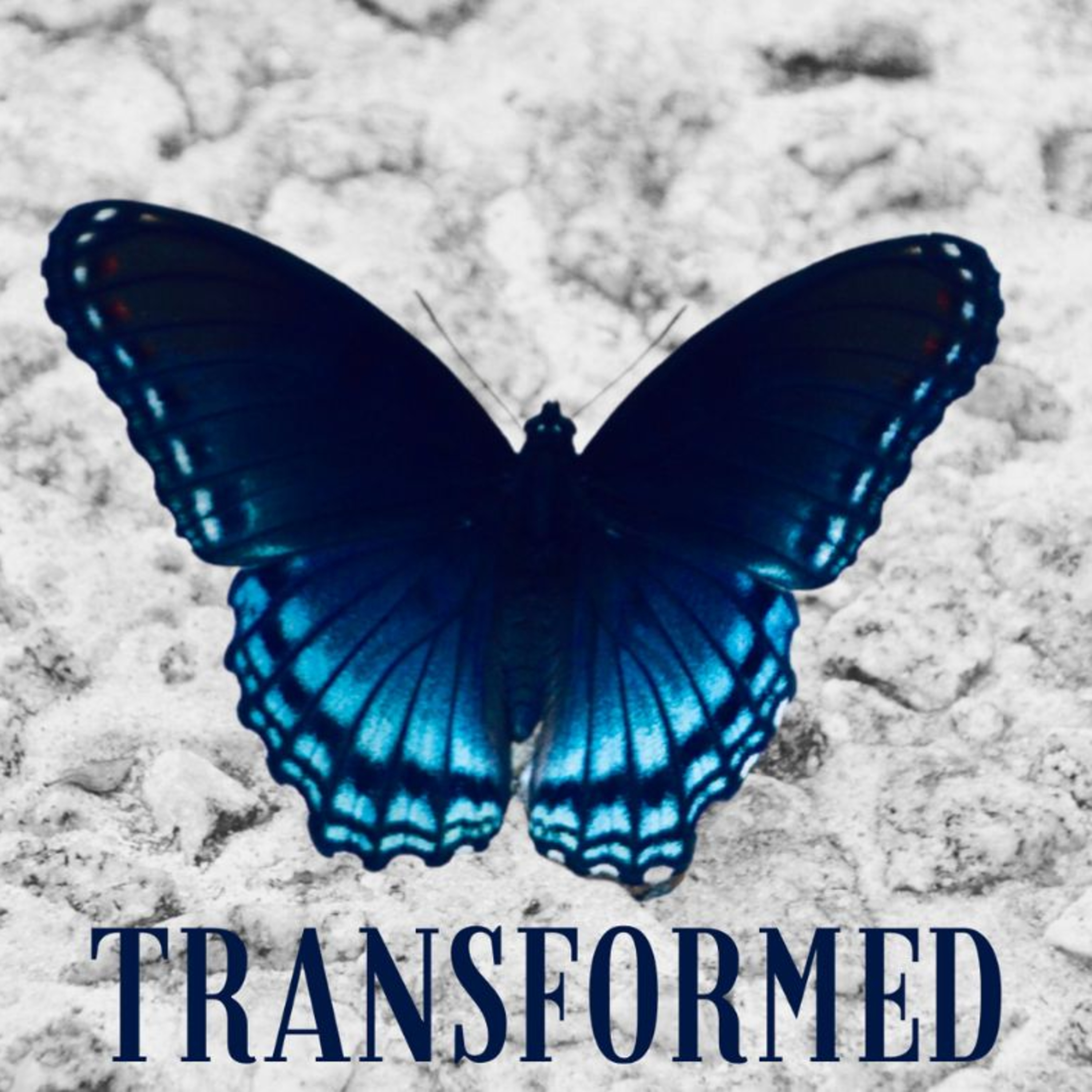 Grace Community Church Frederick