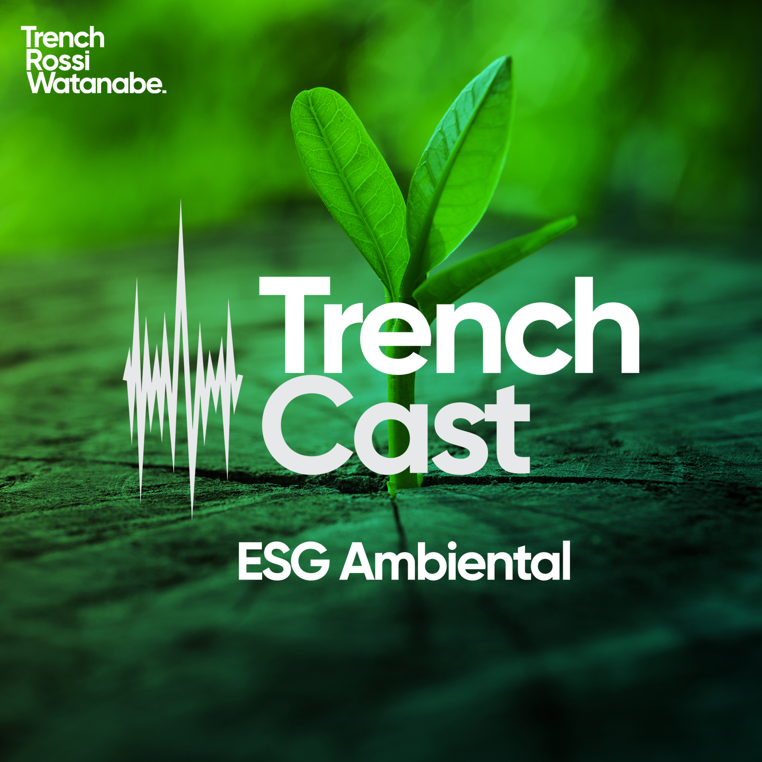 TrenchCast