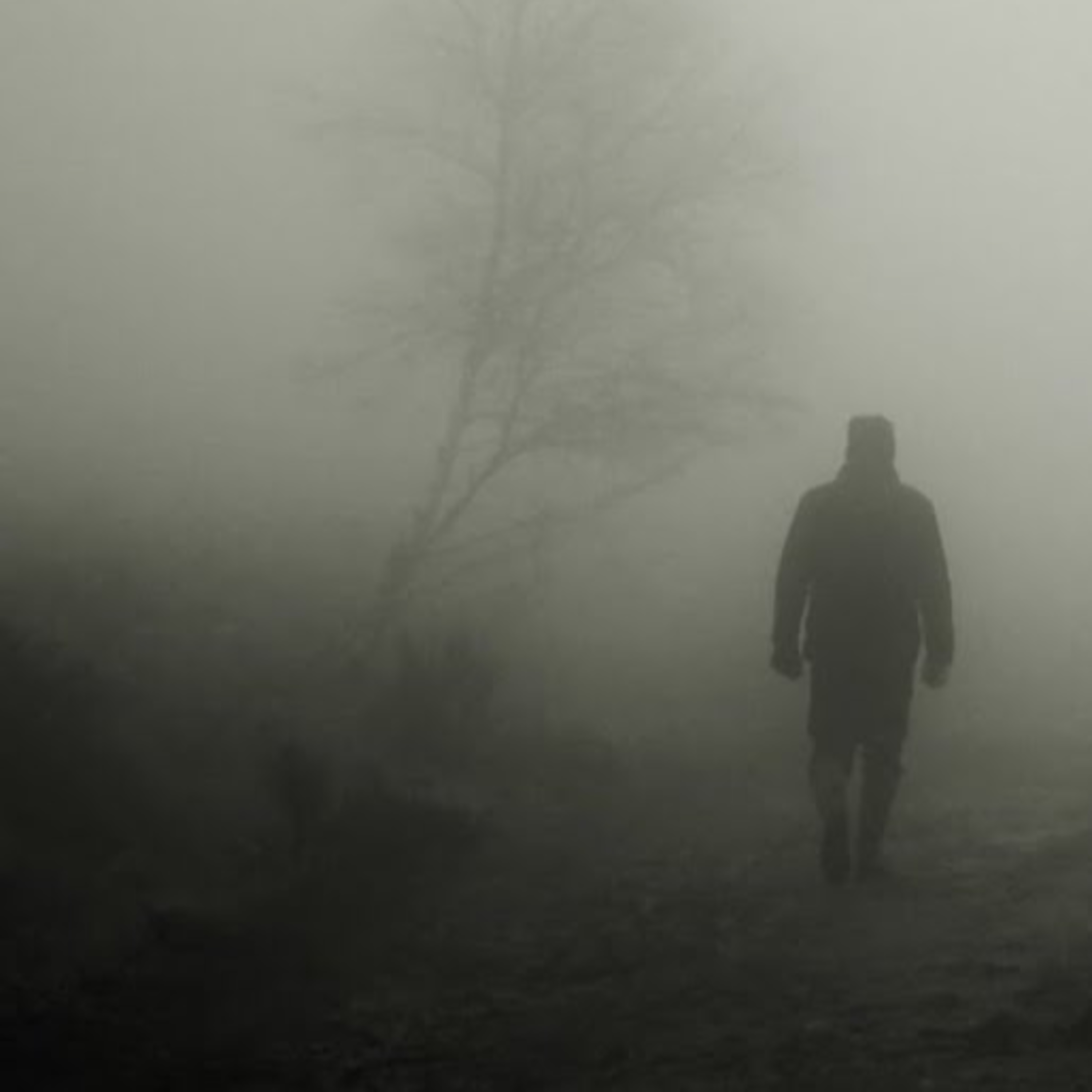11-16-18 Serial Killers That May Still Be Out There episode artwork