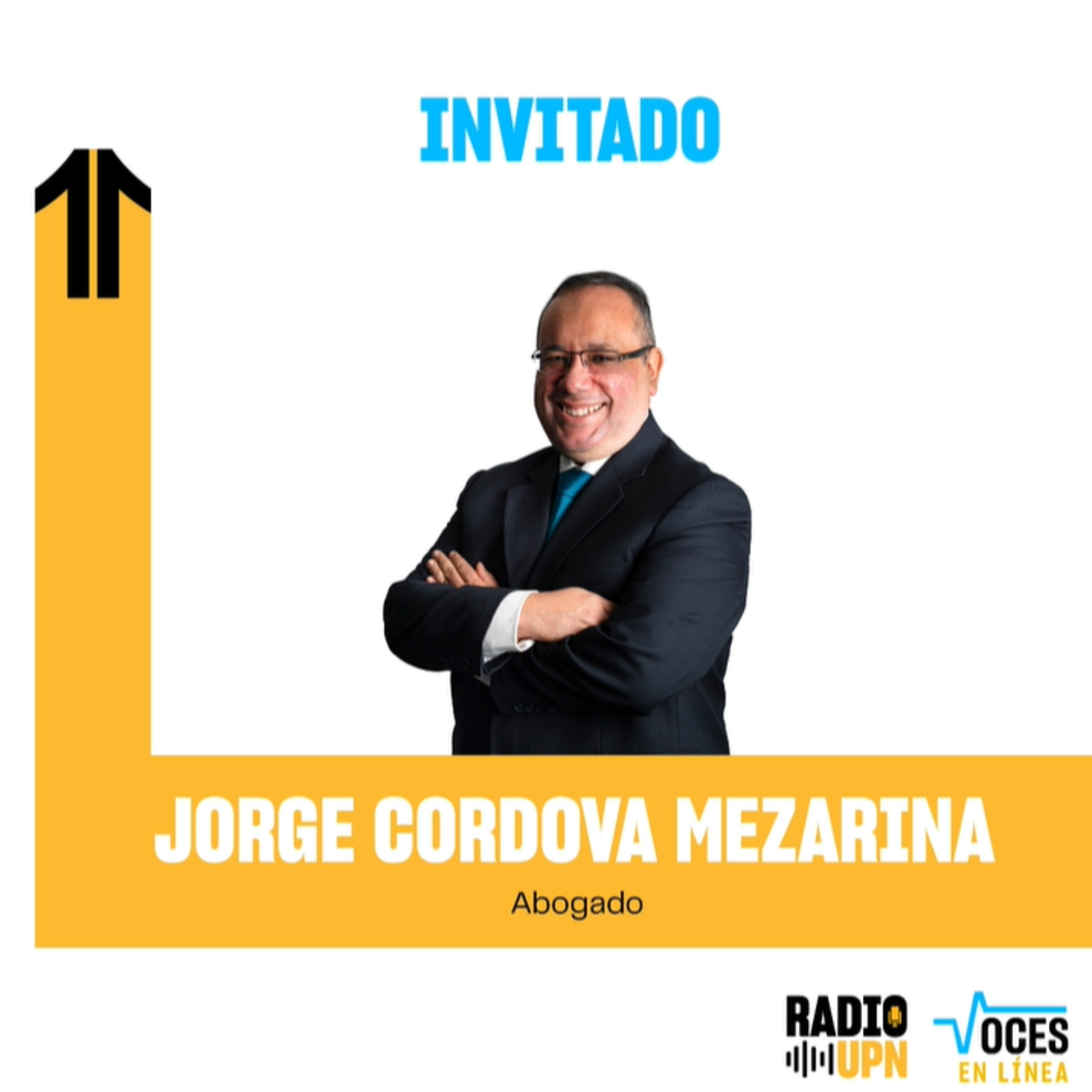 Derecho de autor frente a la piratería digital - Voces en Línea - Radio UPN  episode artwork