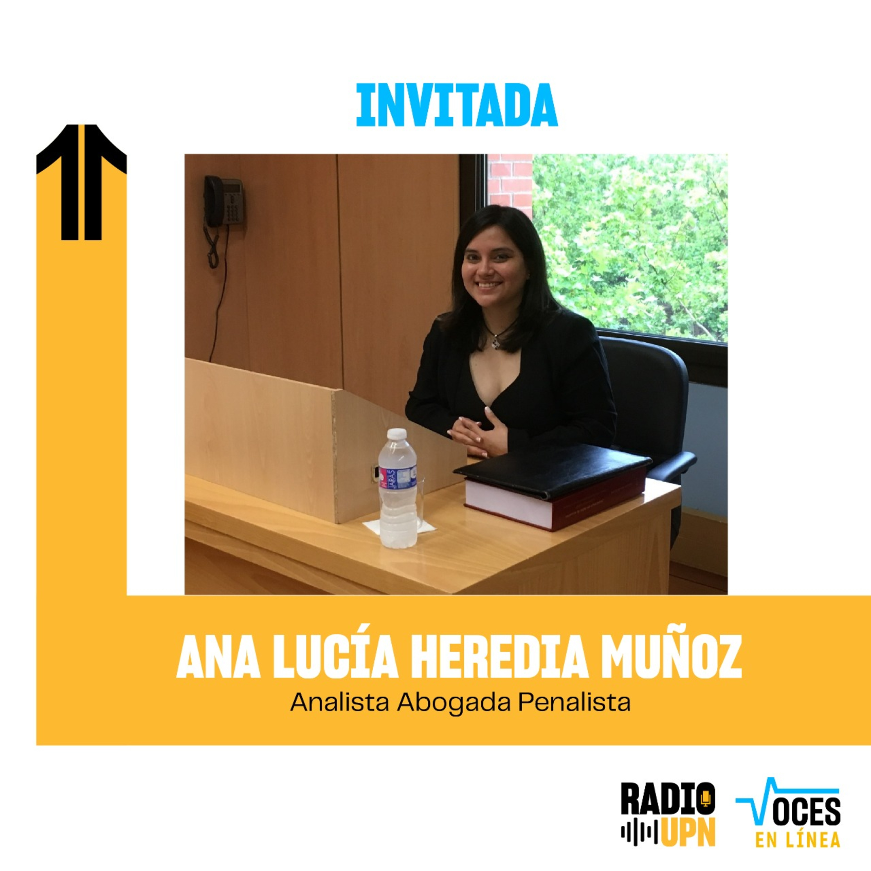 Impacto negativo de los delitos de corrupción de funcionarios - VOCES EN LÍNEA - RADIO UPN episode artwork