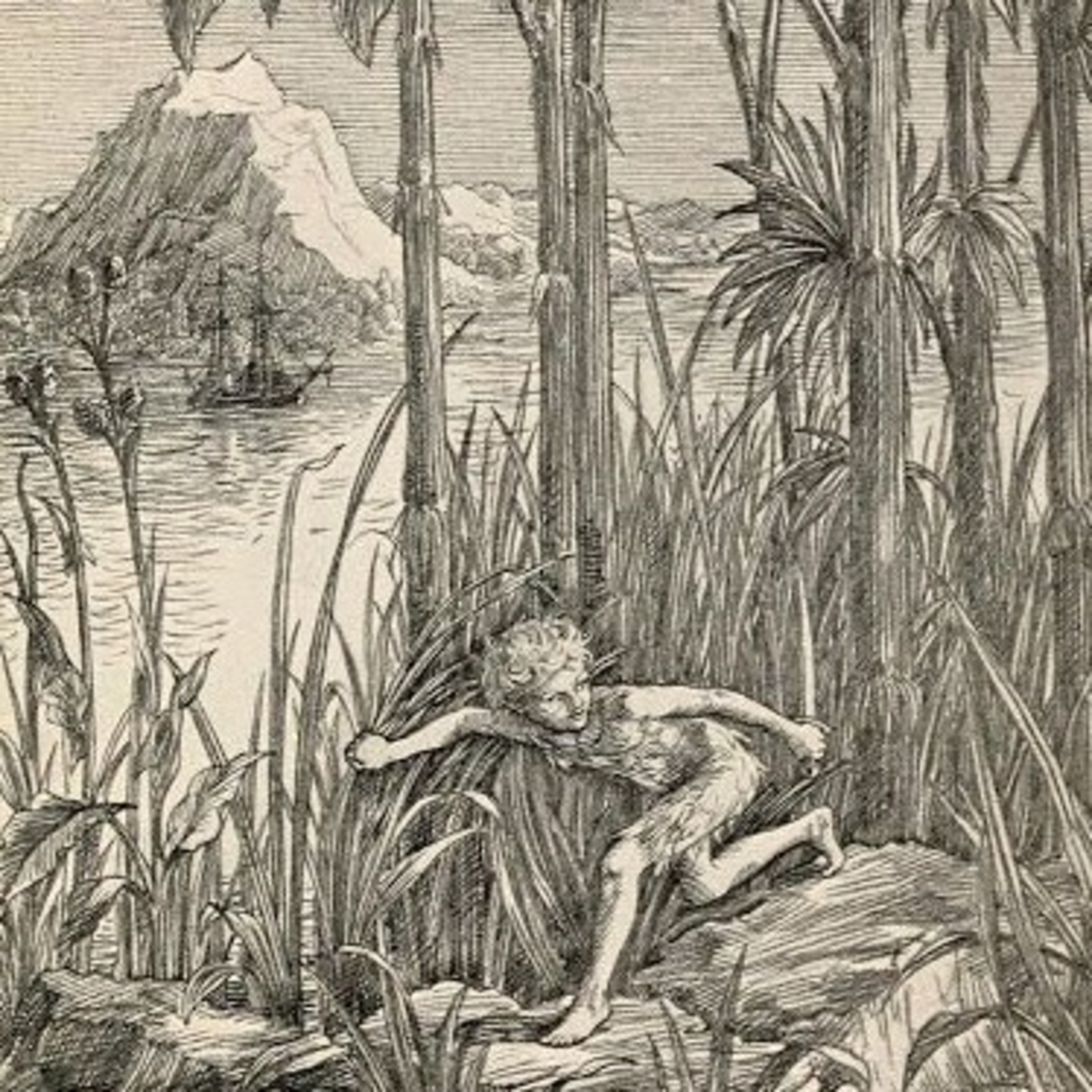 A Hora da Literatura: Peter Pan
