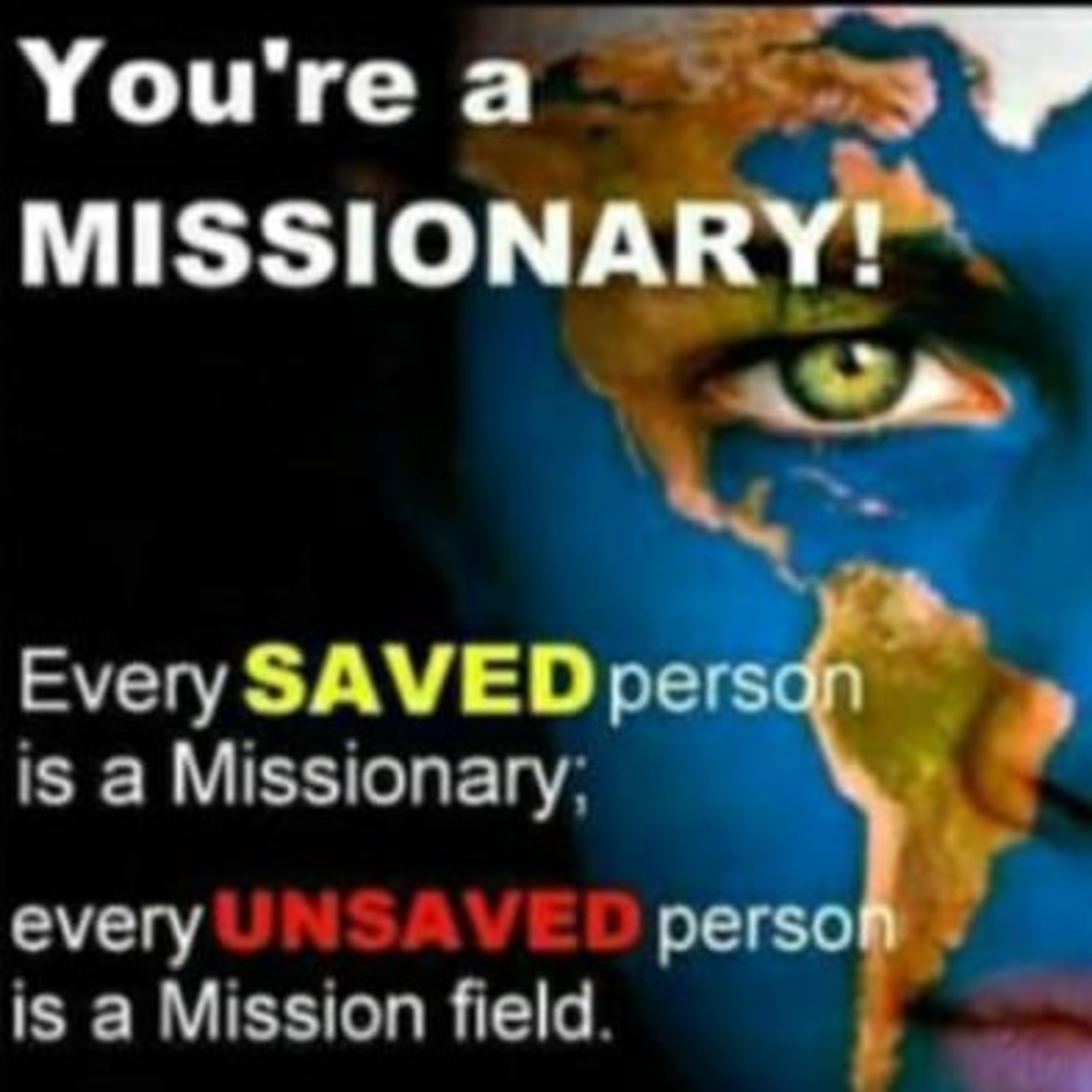 Articulate SpecialOne