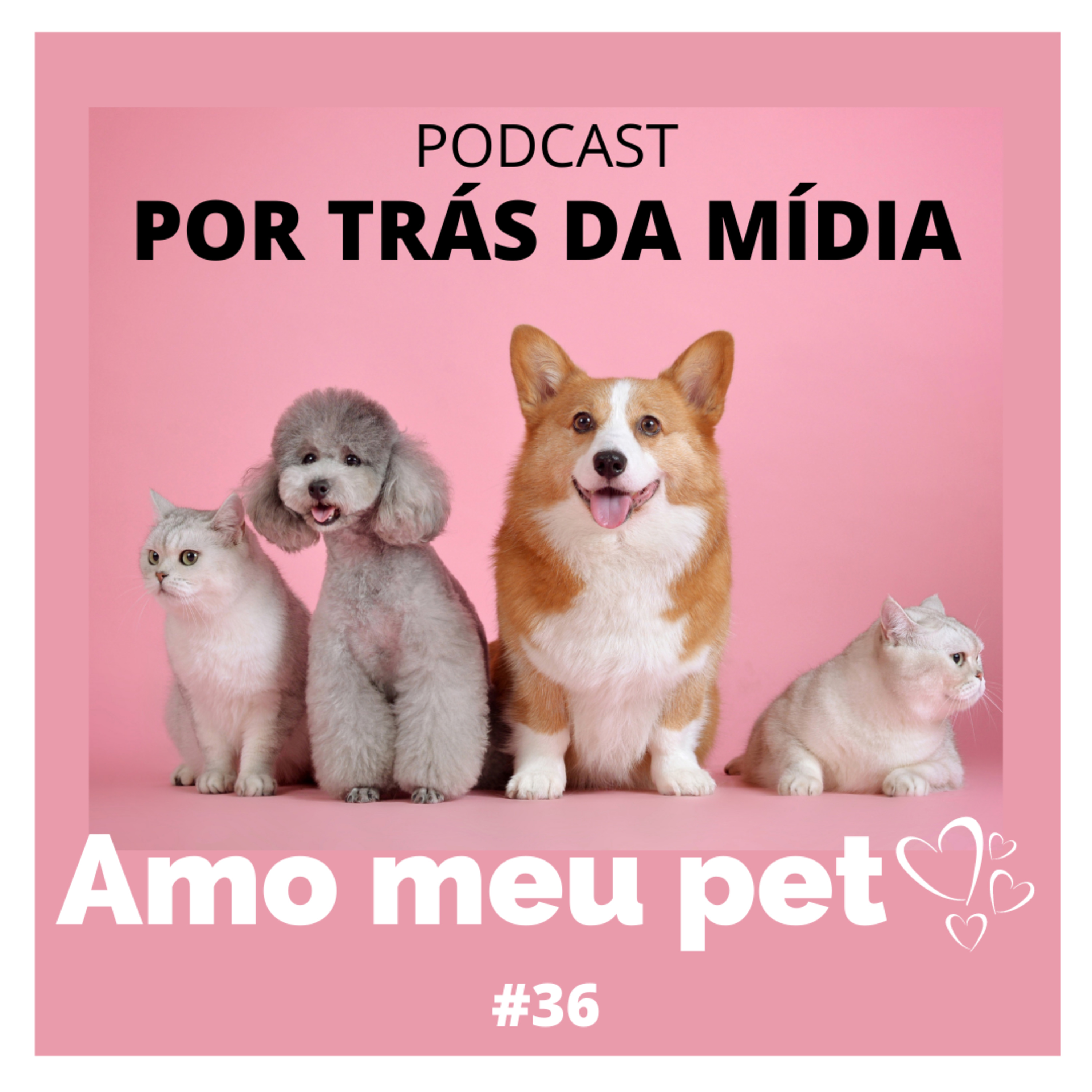Por Trás da Mídia