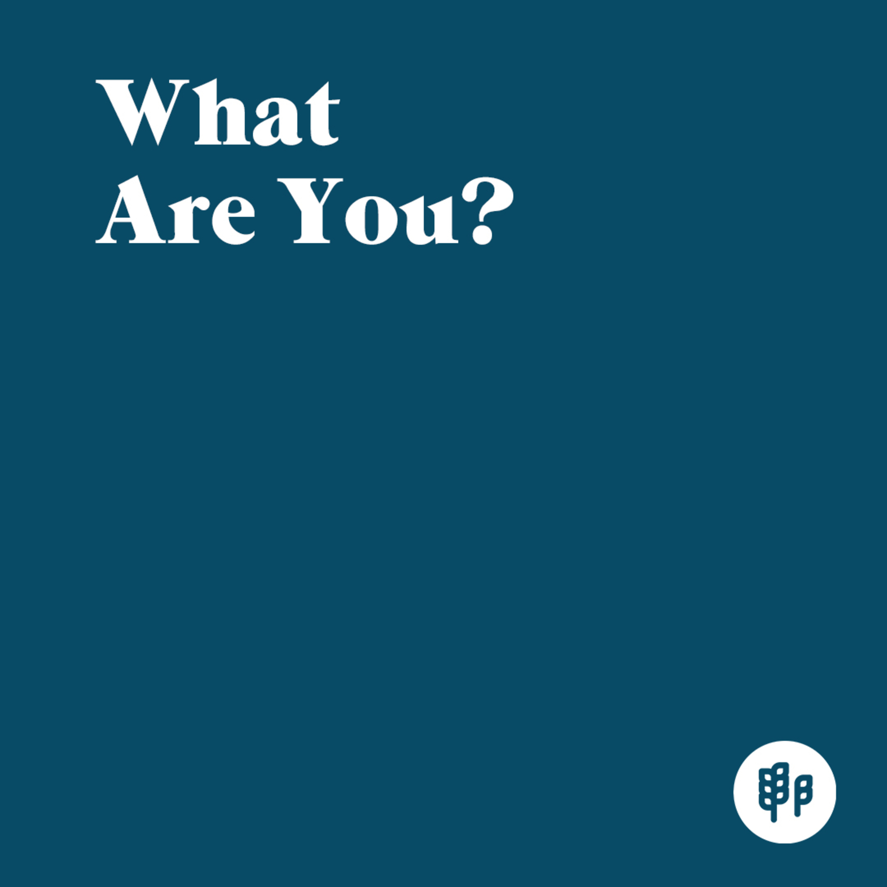 What Are You? - Ron Kangas