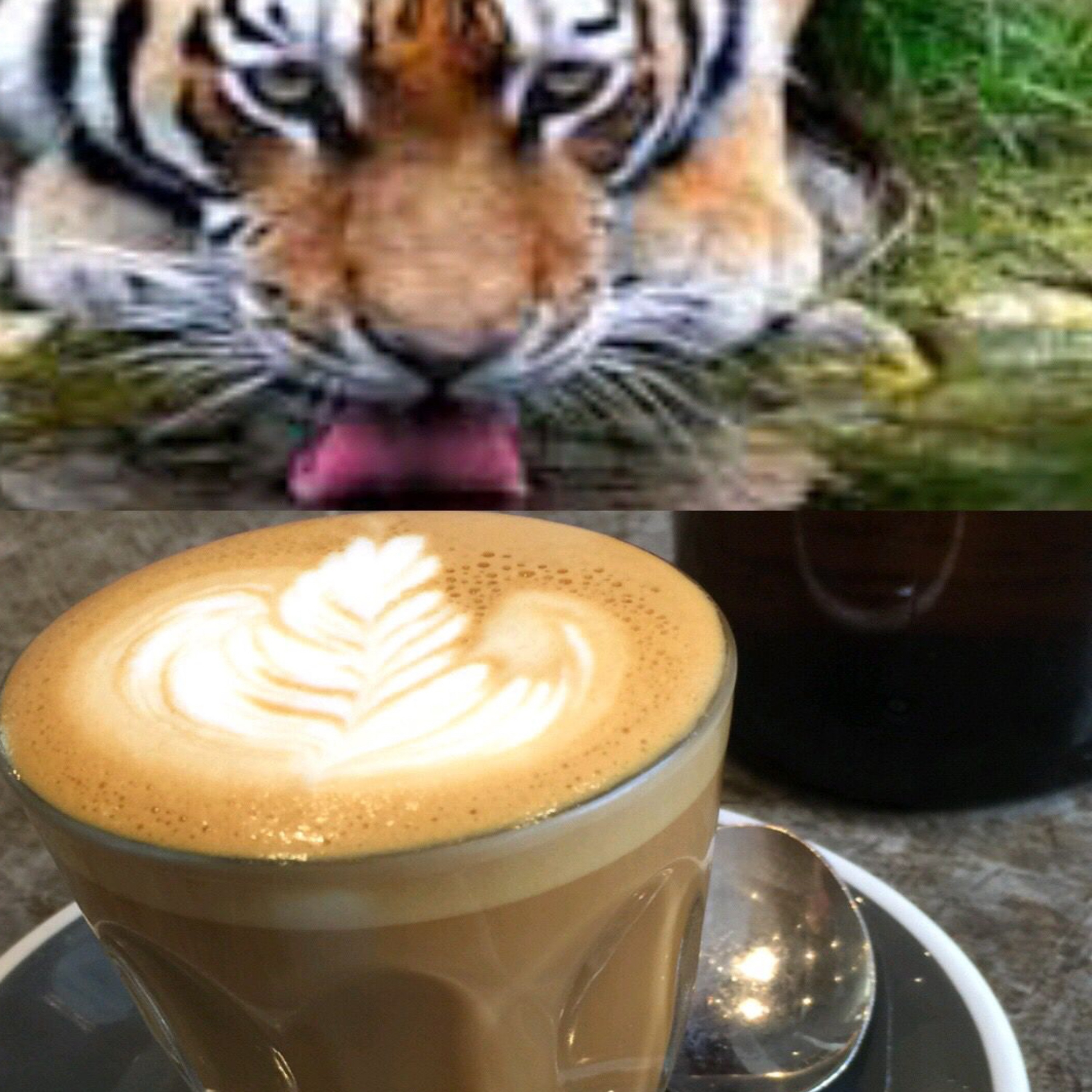 We are Coffee Tigers Ep.1  episode artwork