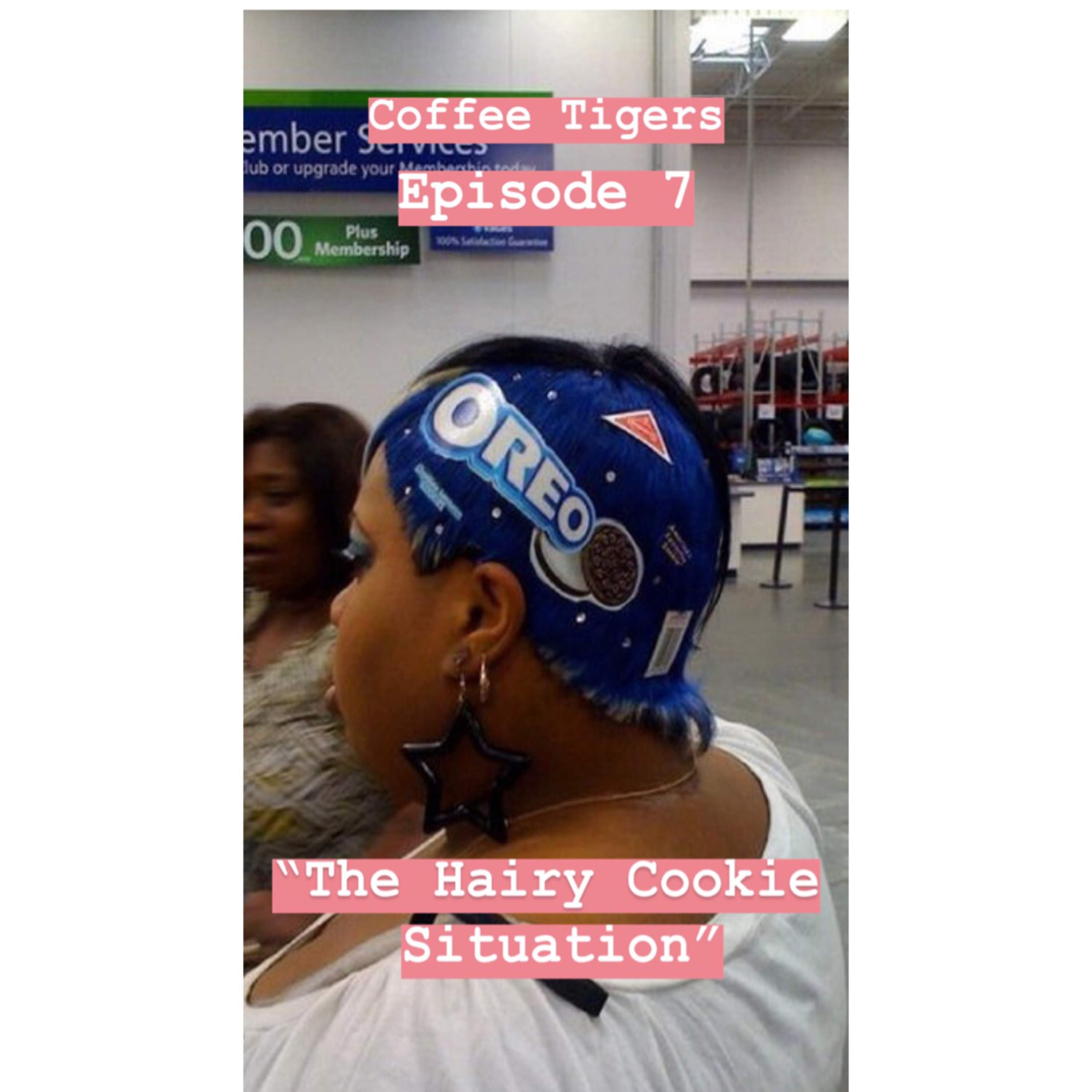 The Hairy Cookie  episode artwork