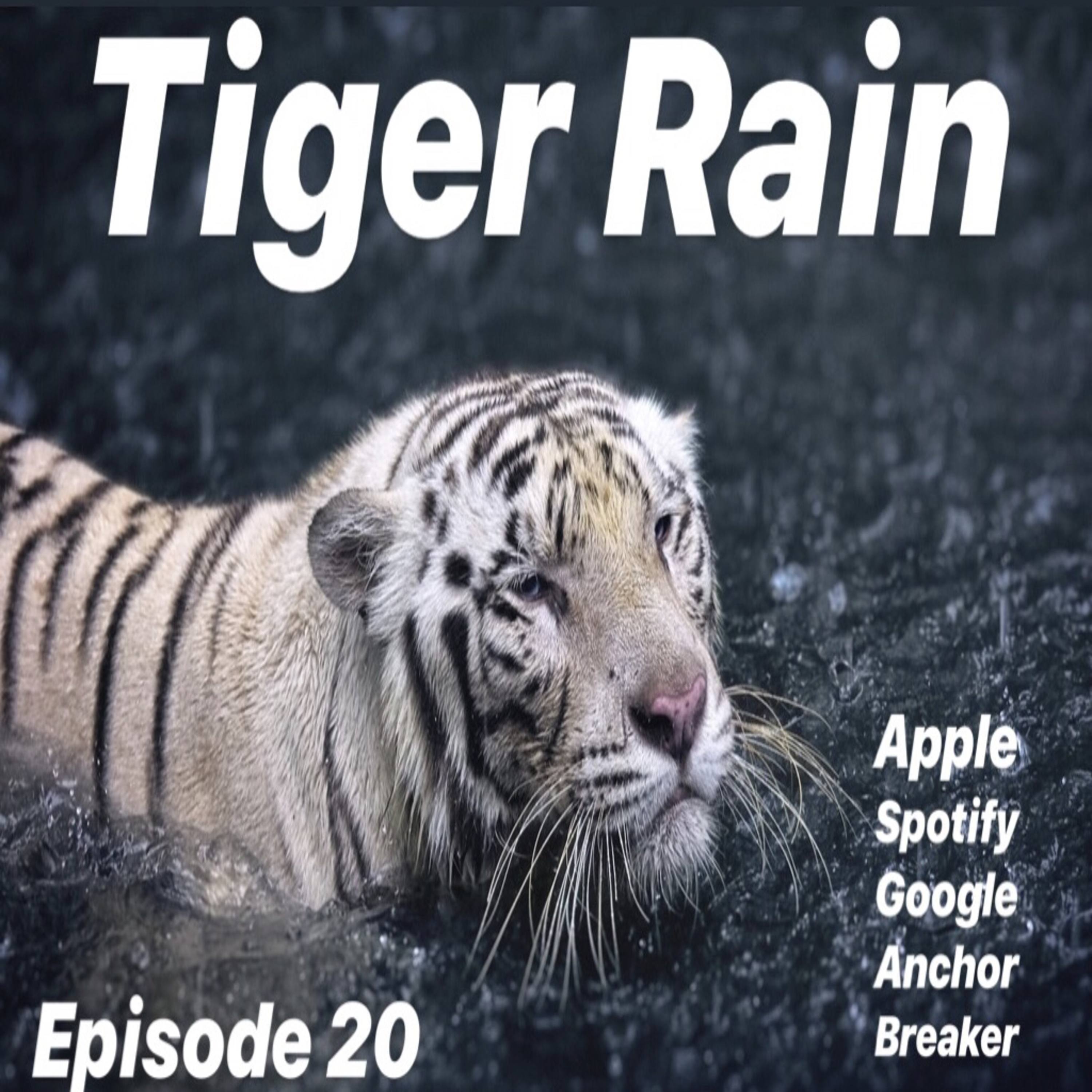 Tiger Rain  episode artwork