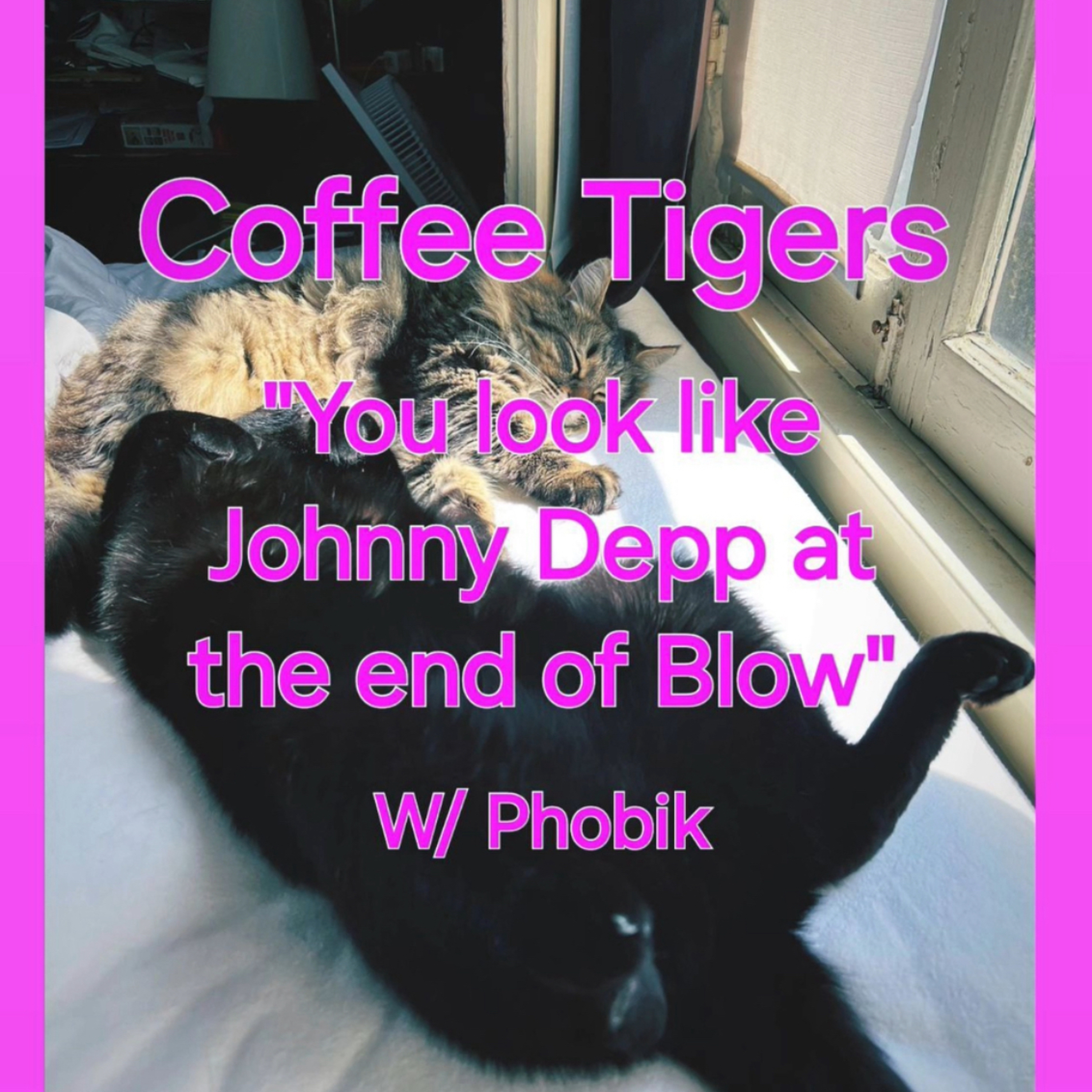 You Look Like Johnny Depp at the End of Blow episode artwork