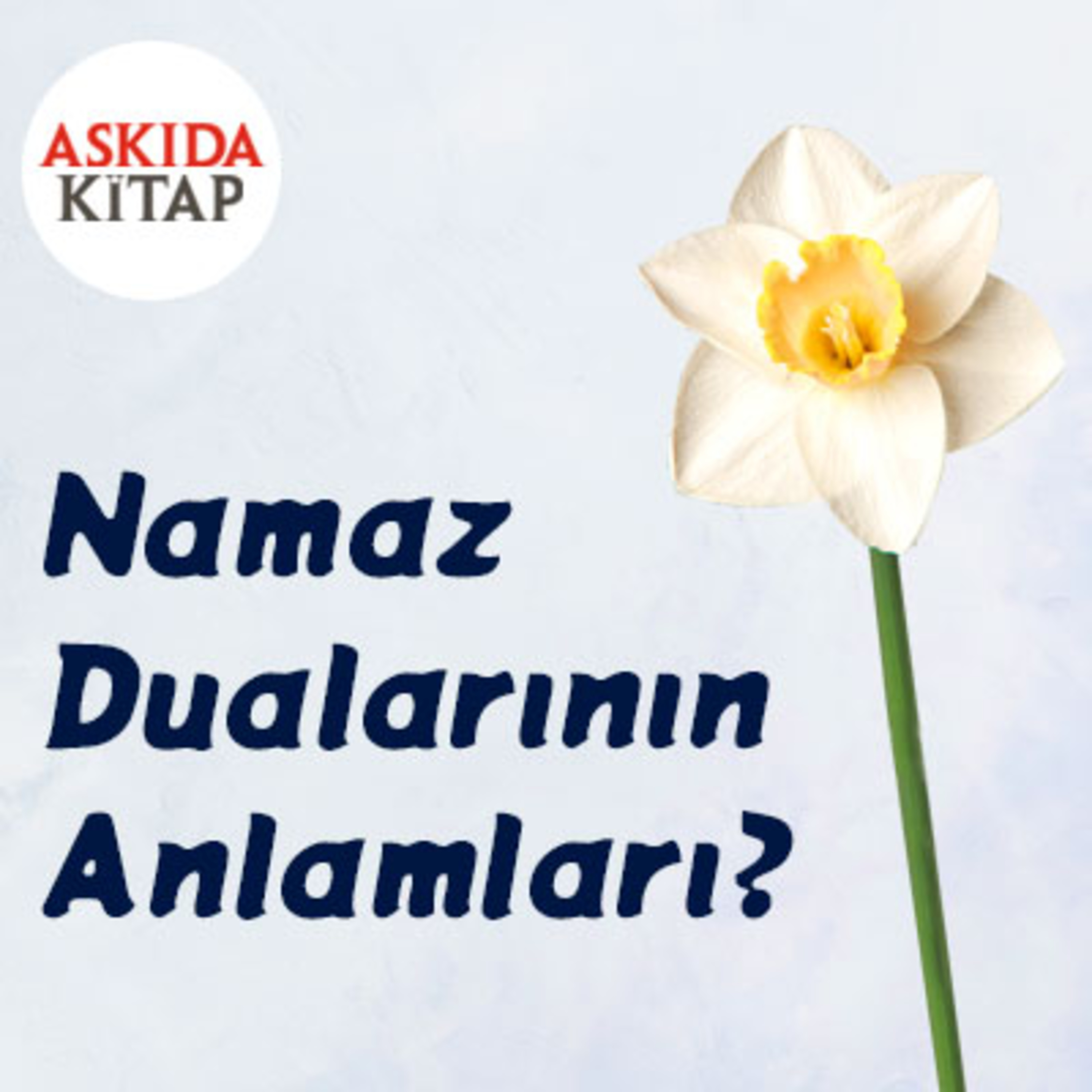 Askıda Kitap