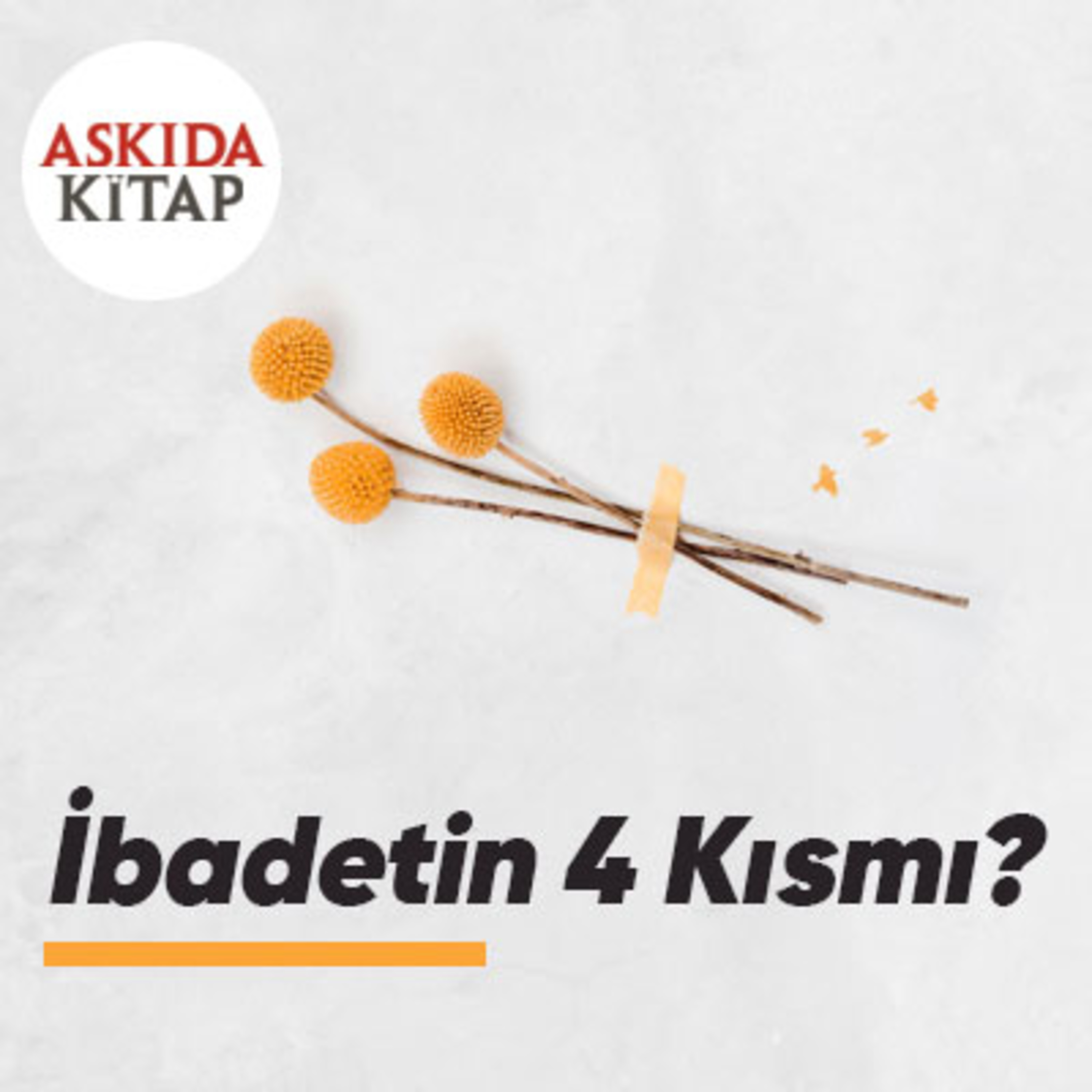 Askıda Kitap