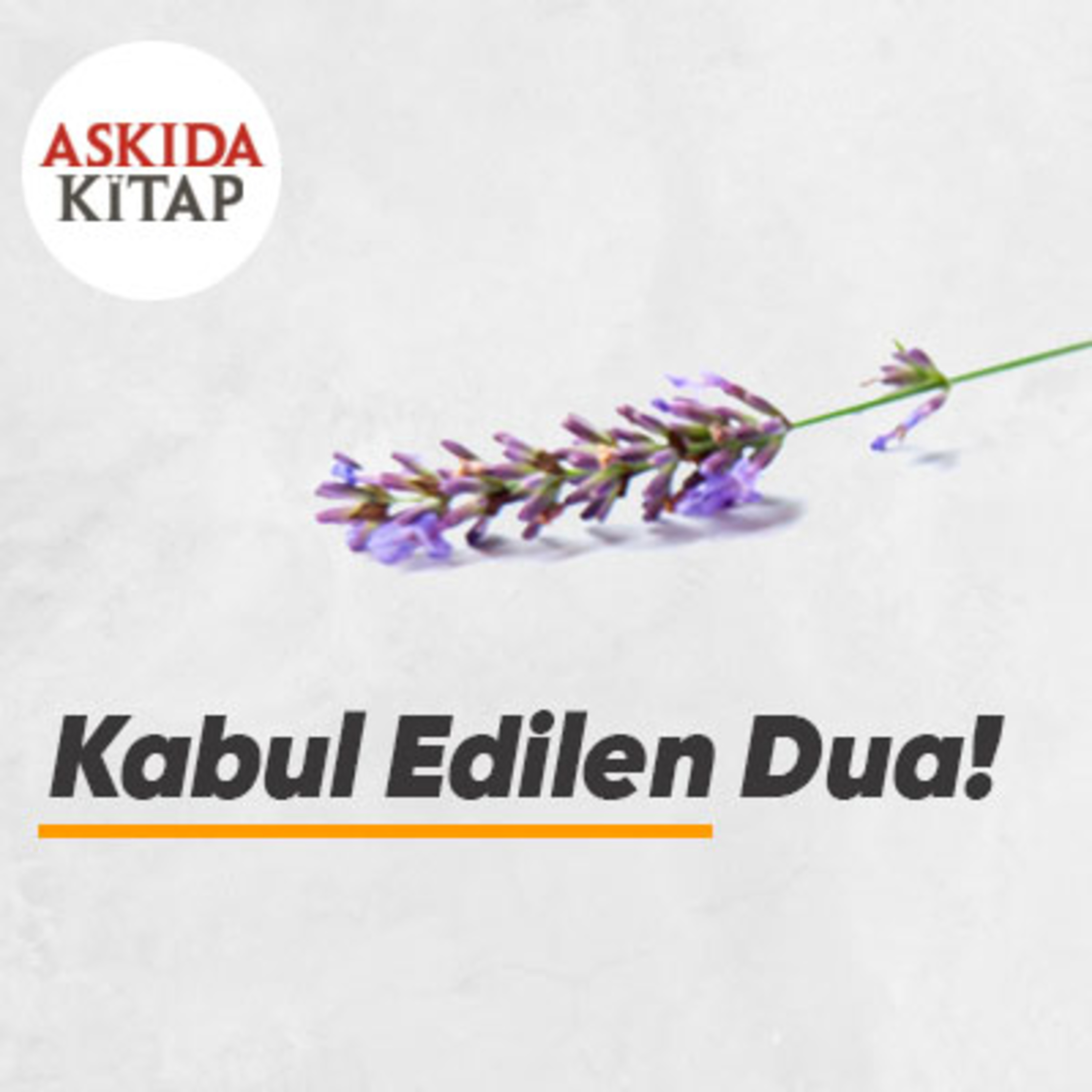 Askıda Kitap