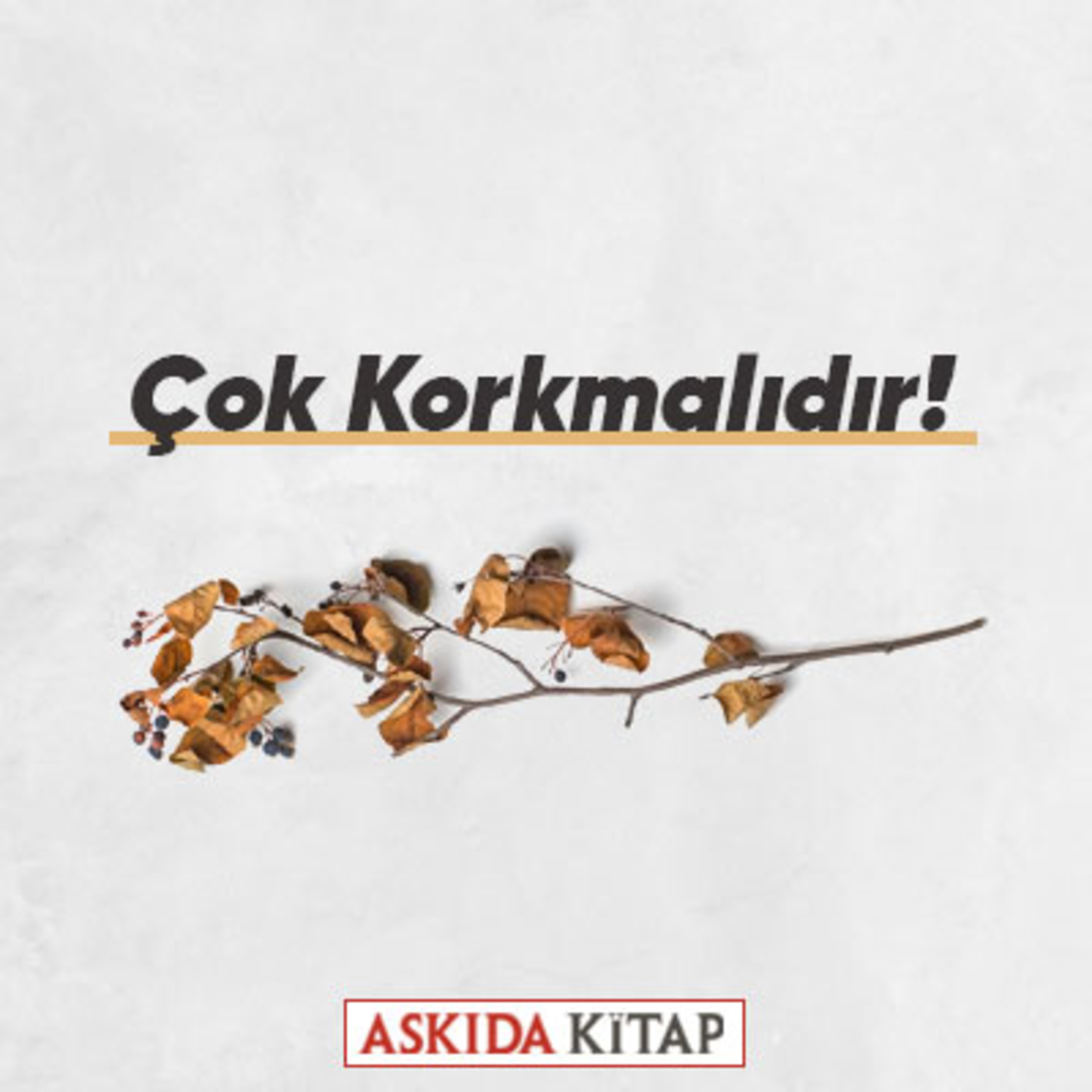 Askıda Kitap