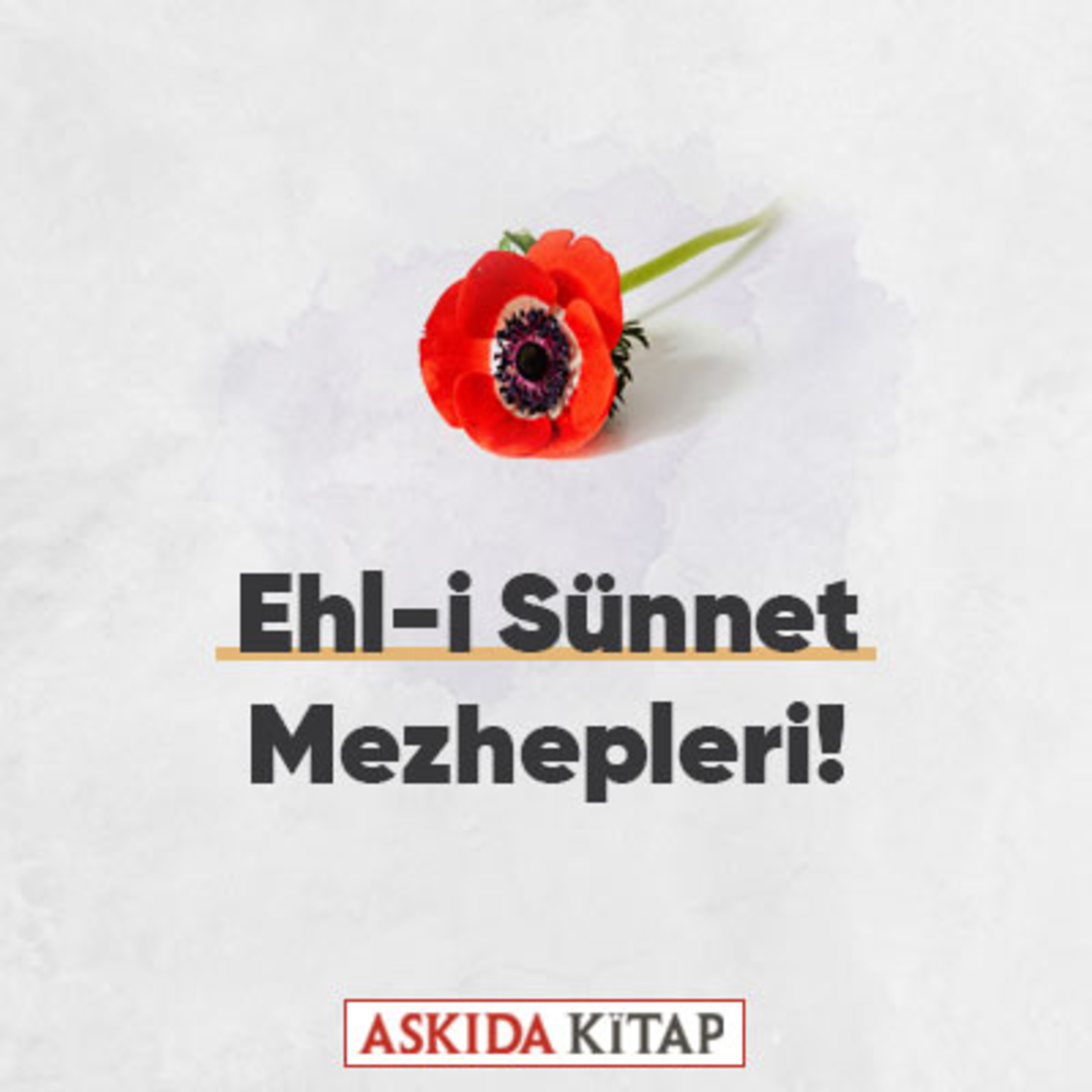Askıda Kitap