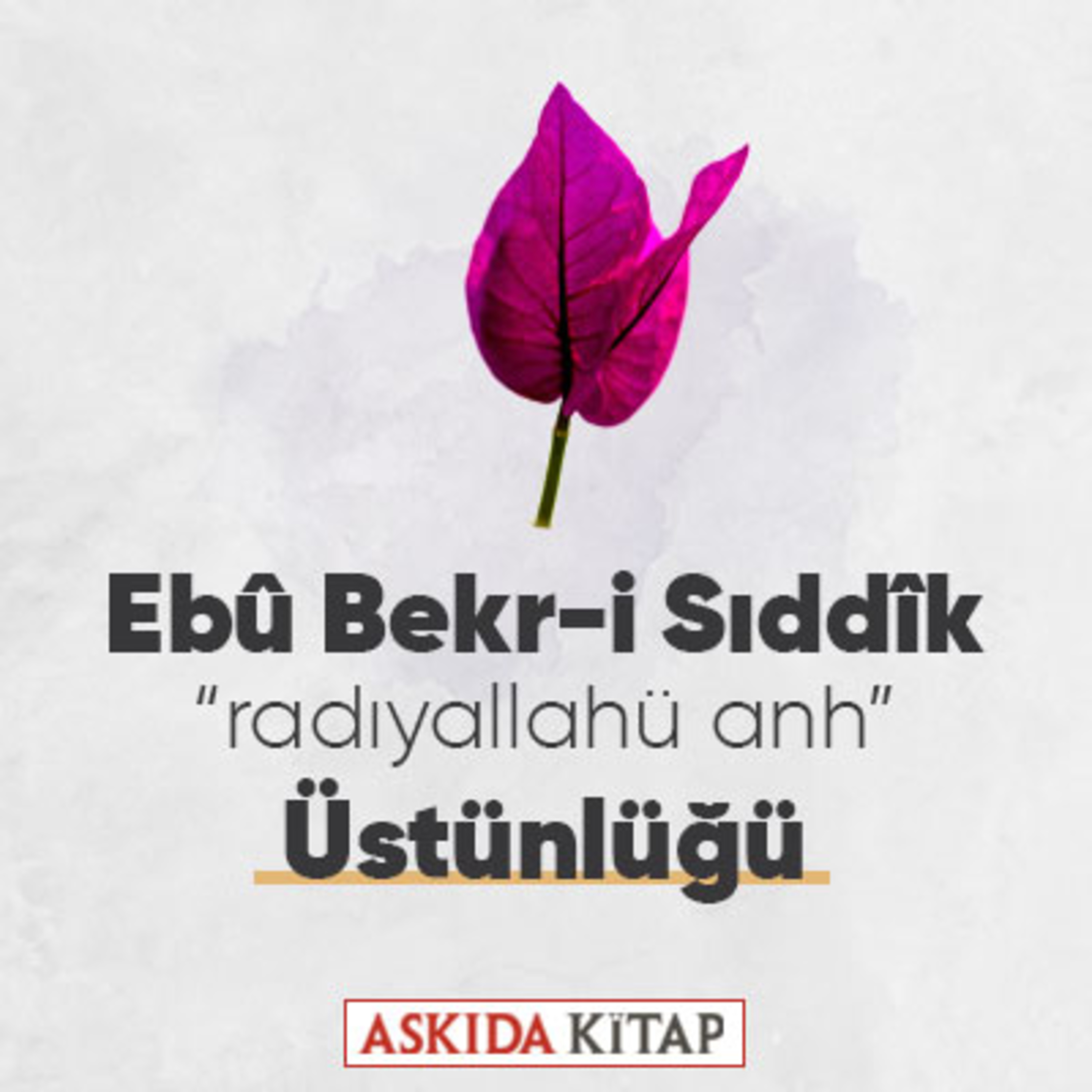 Askıda Kitap