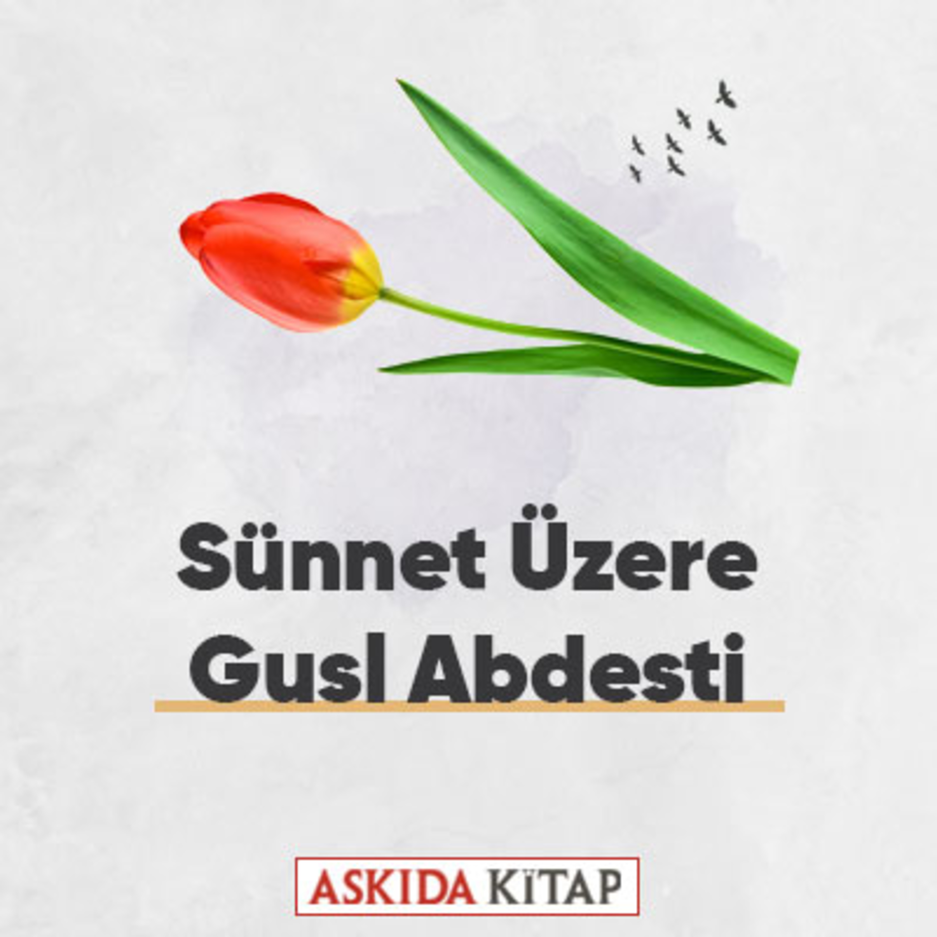 Askıda Kitap