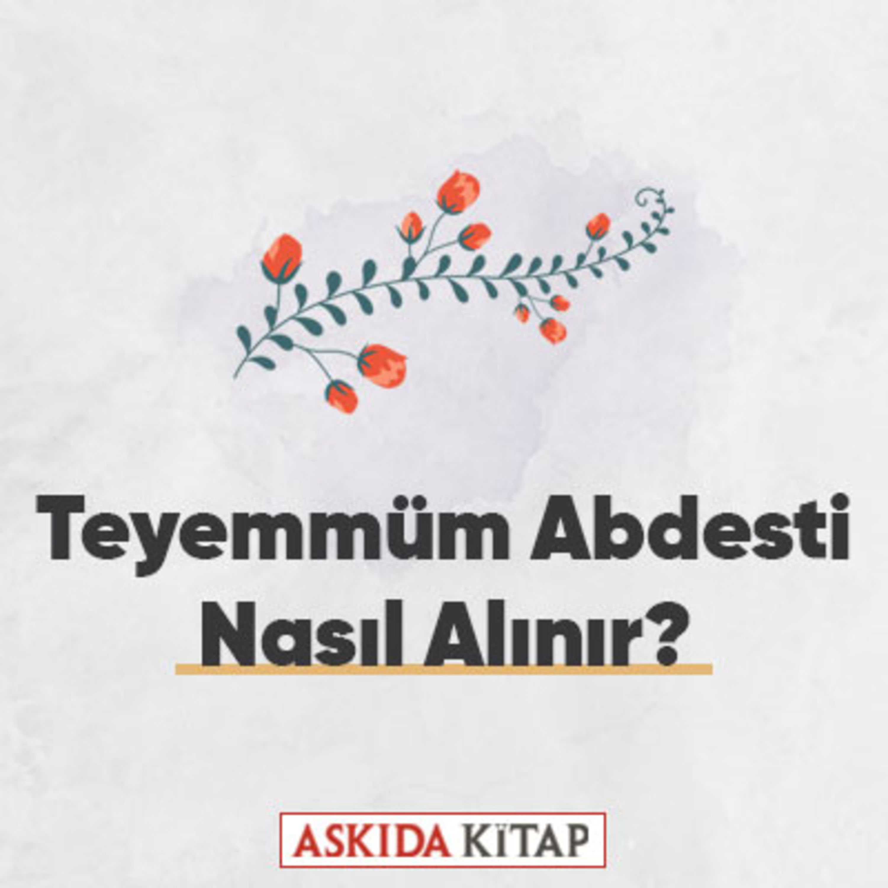 Askıda Kitap
