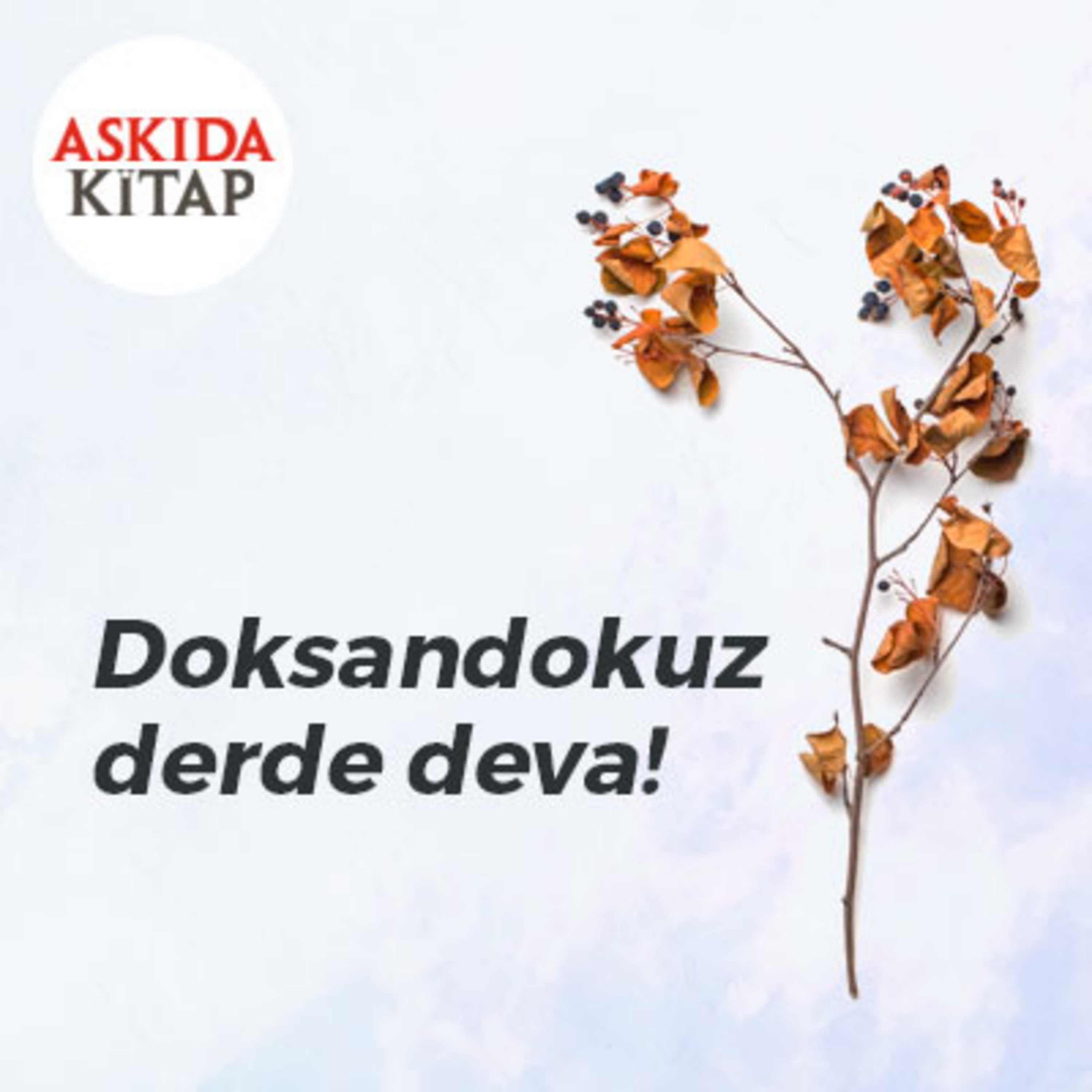 Askıda Kitap