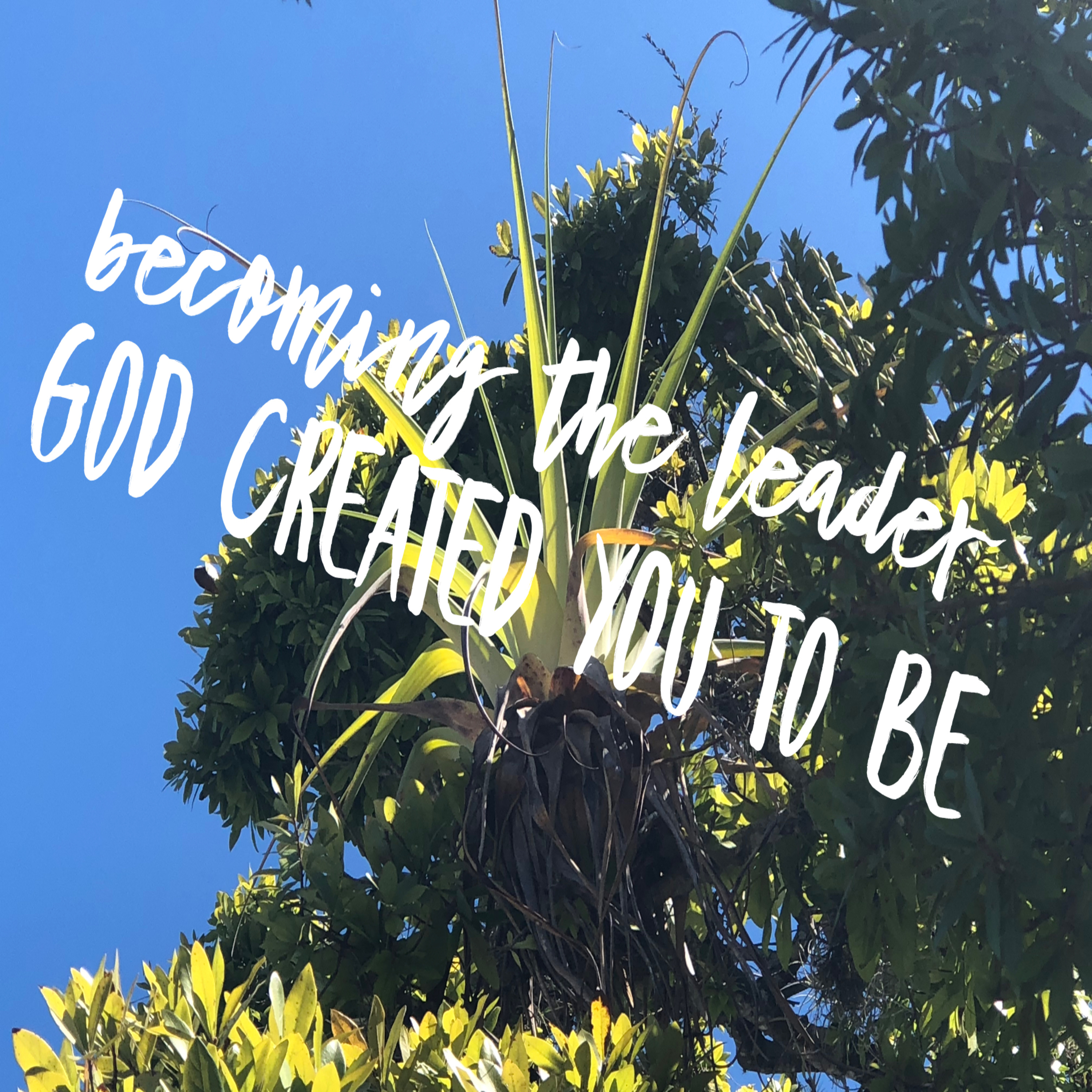 Final: Becoming the Leader God Created You to be