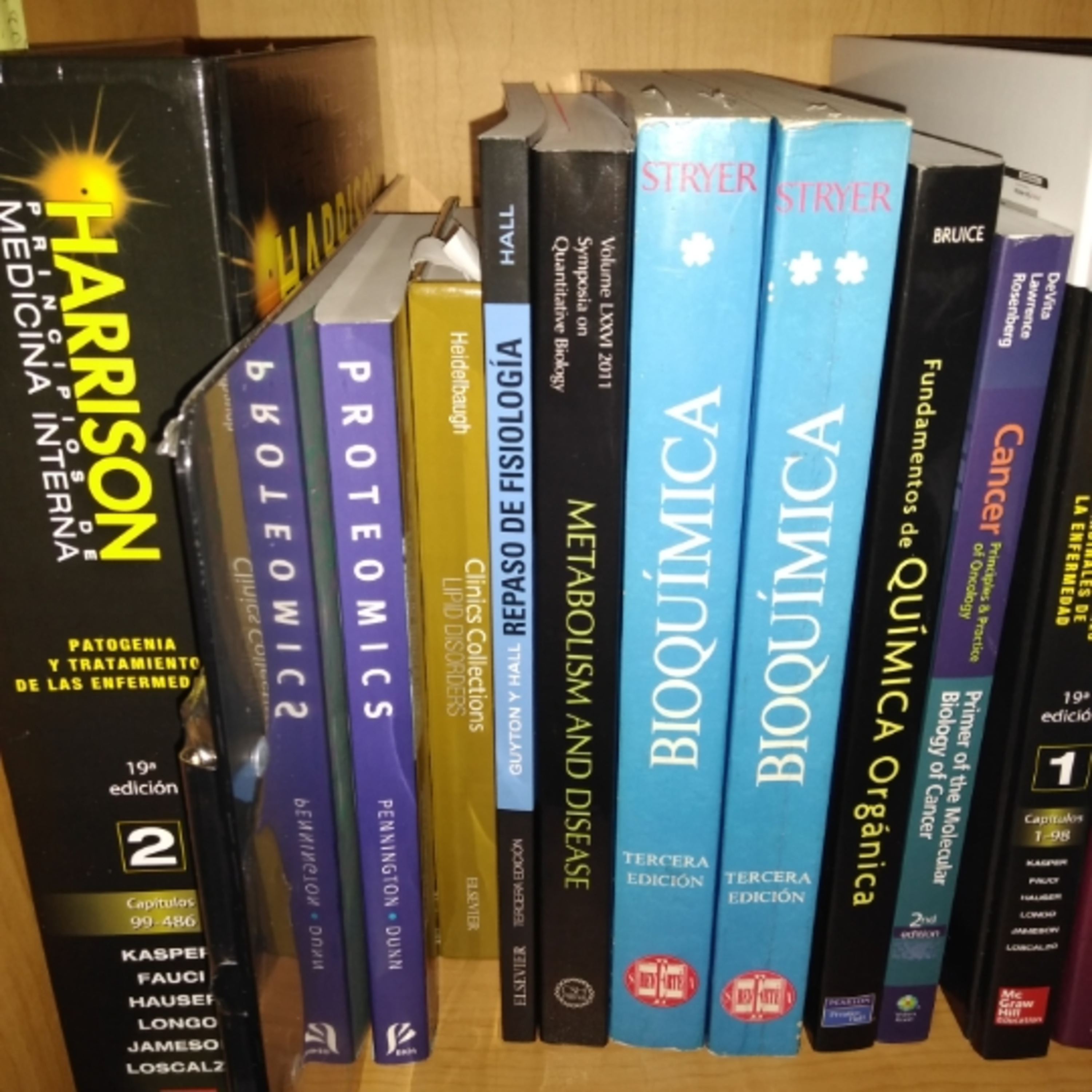 Relatos Del Burrito Politécnico