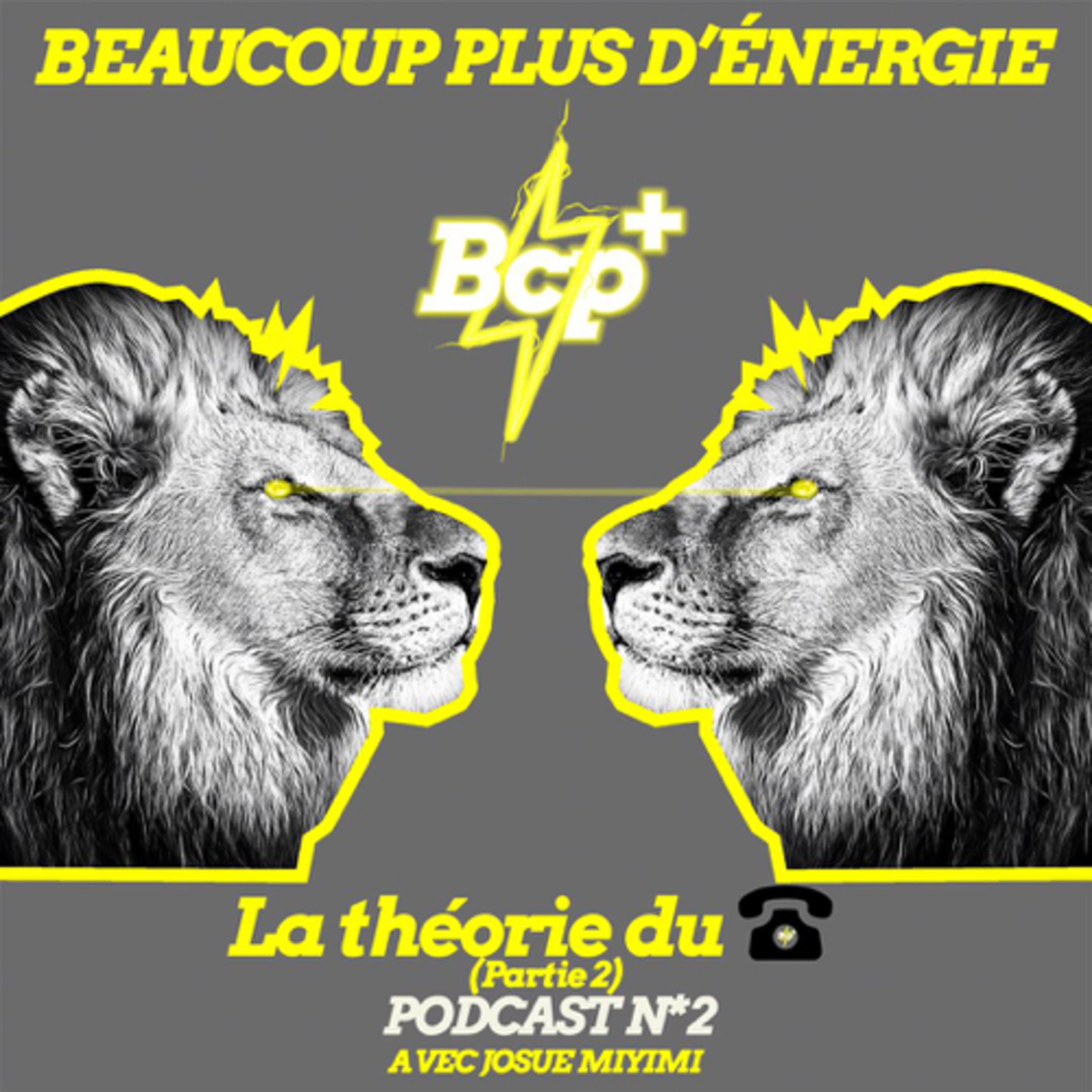 La théorie du téléphone Partie 2