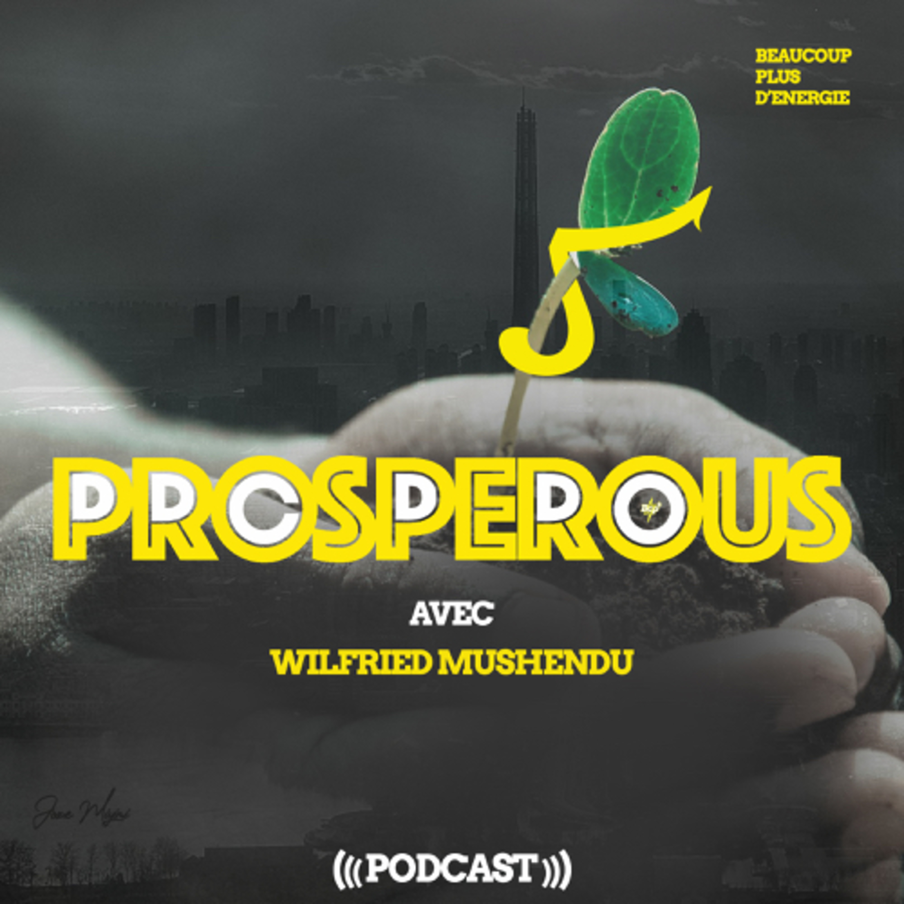 Prosperous avec Wilfried Mushendu