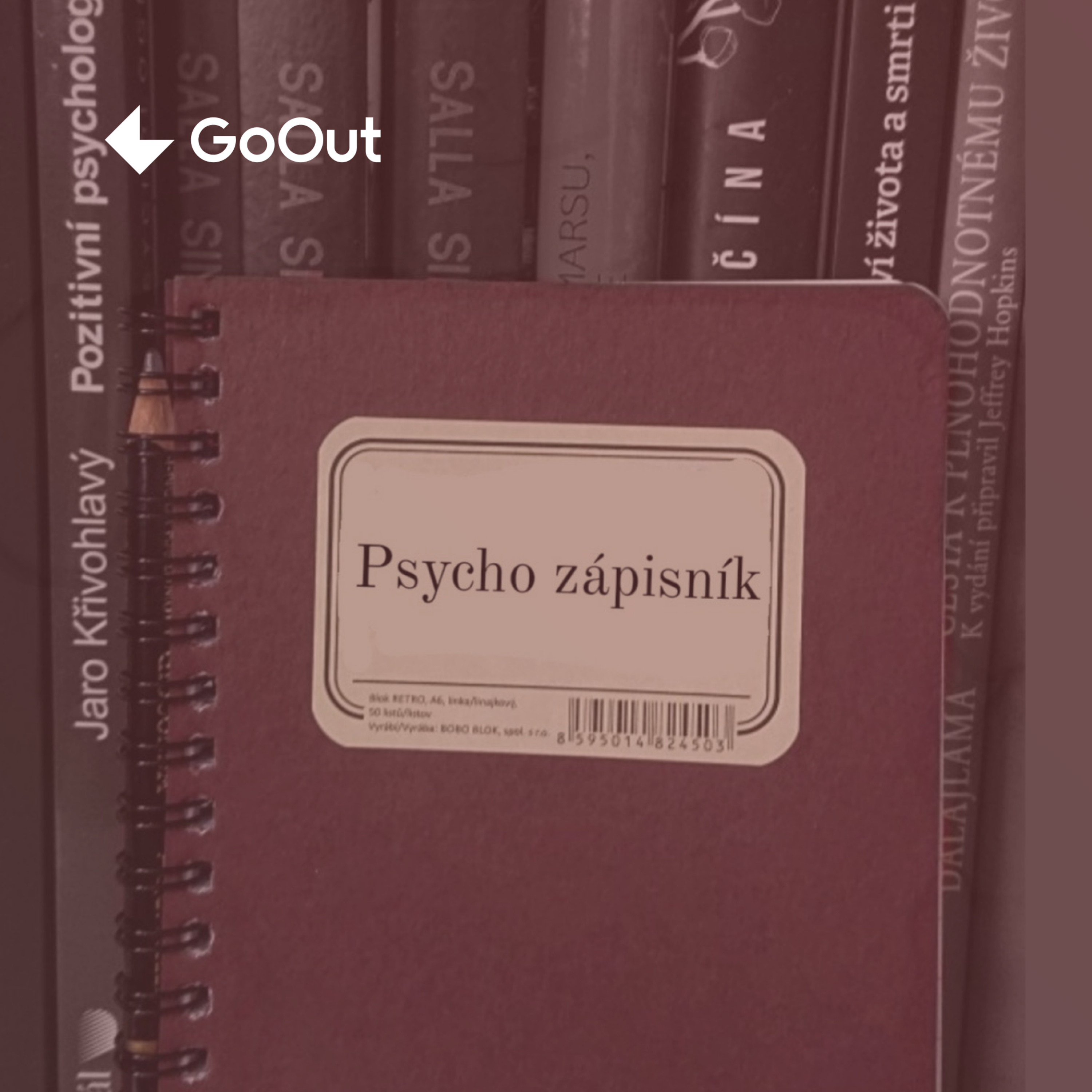 Psycho zápisník