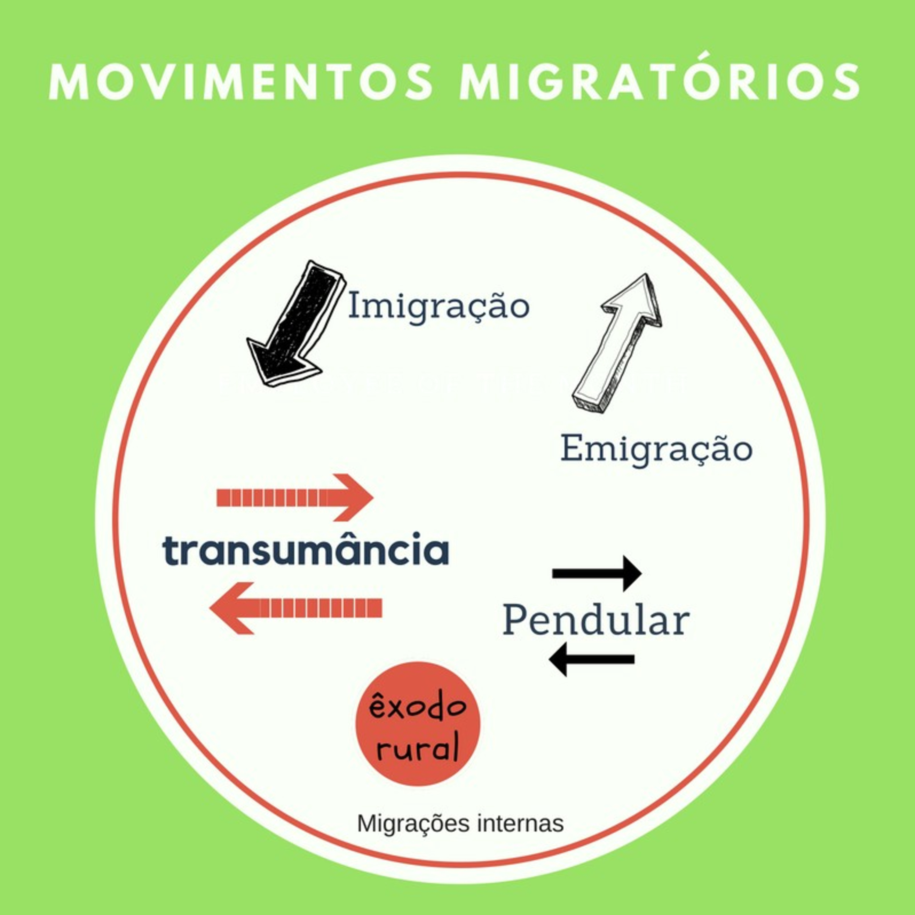 Movimentos migratórios episode artwork