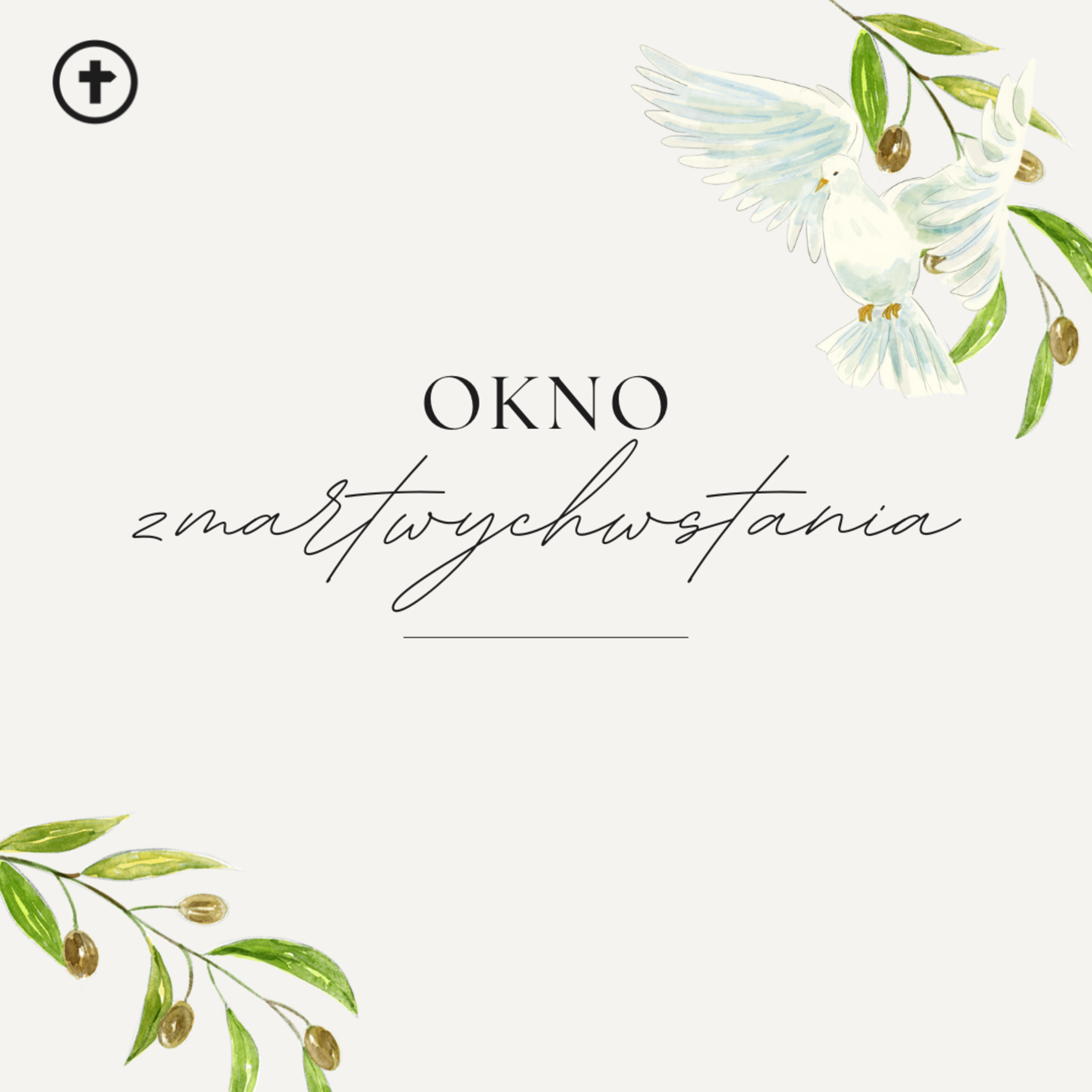 Okno zmartwychwstania - Ps Zbyszek Zarożny episode artwork
