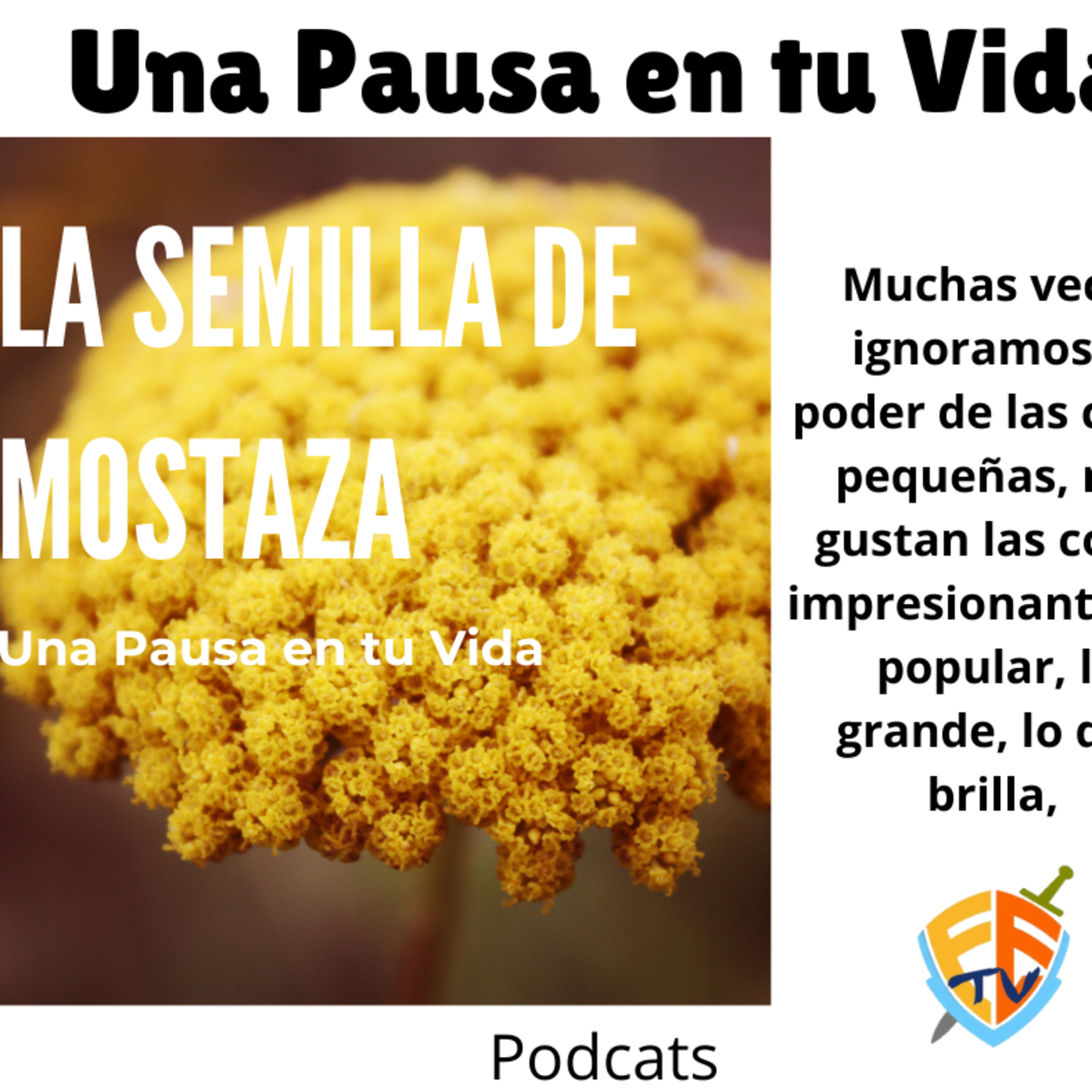 Una pausa en tu vida