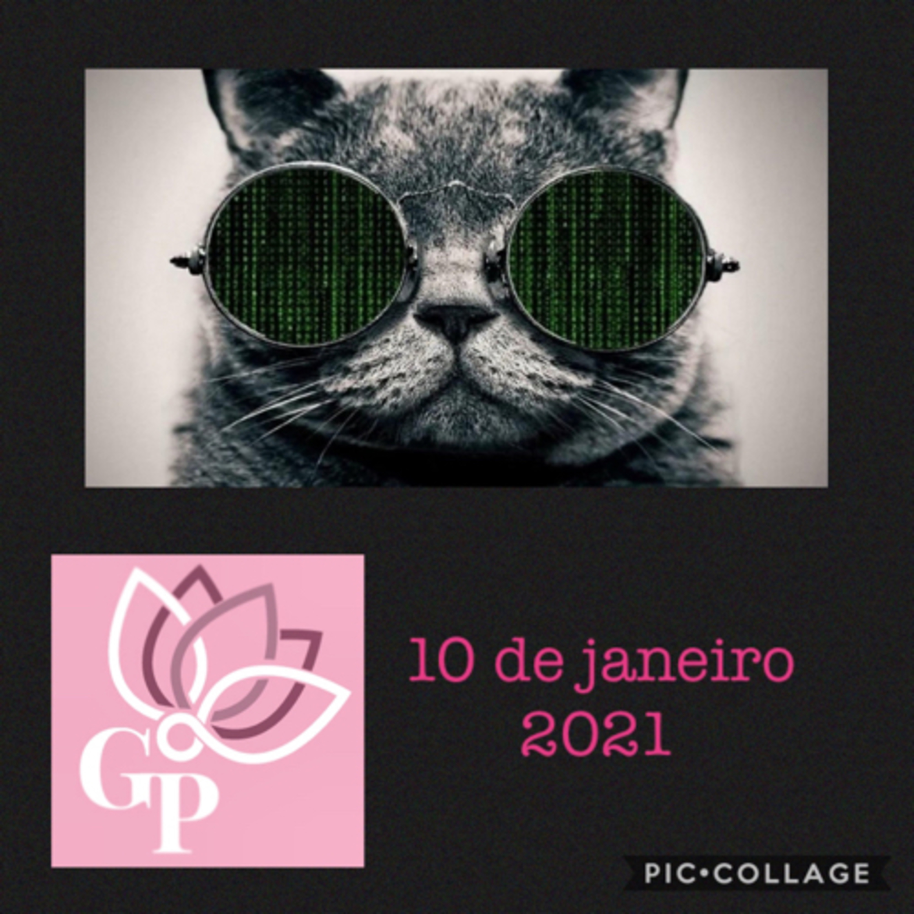 Giovanna L T Paulineli 💜💫