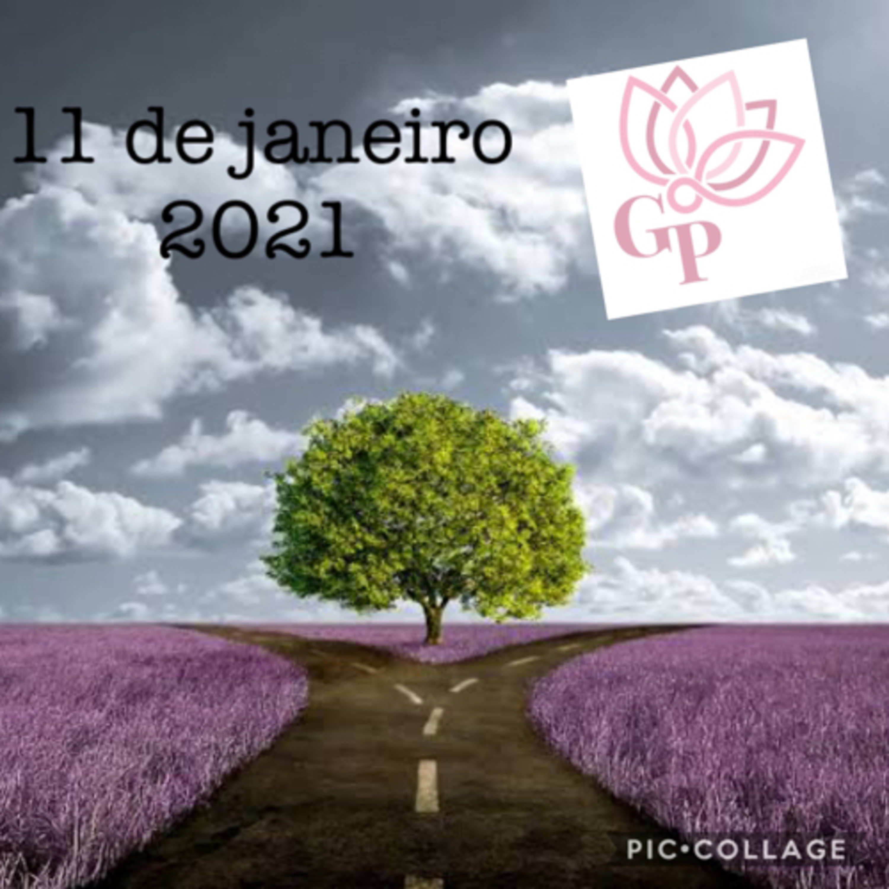 Giovanna L T Paulineli 💜💫