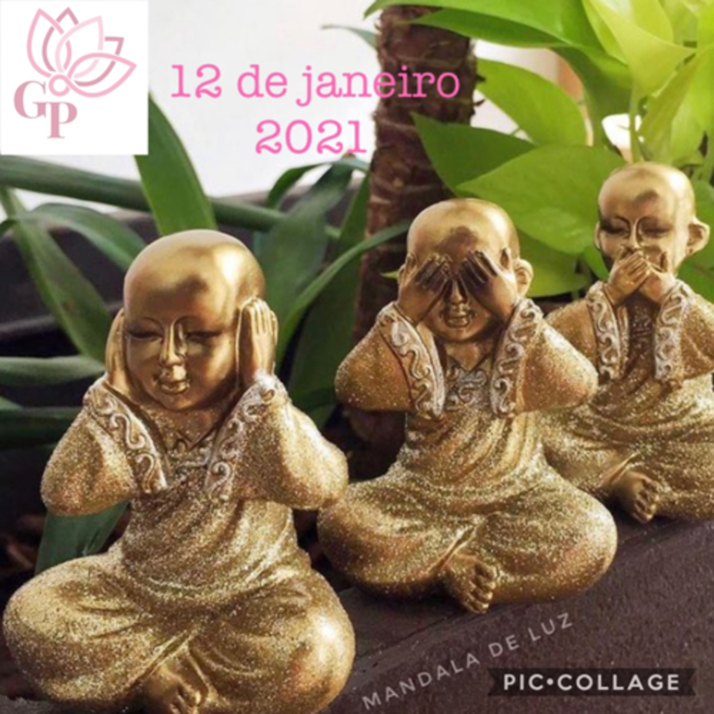 Giovanna L T Paulineli 💜💫