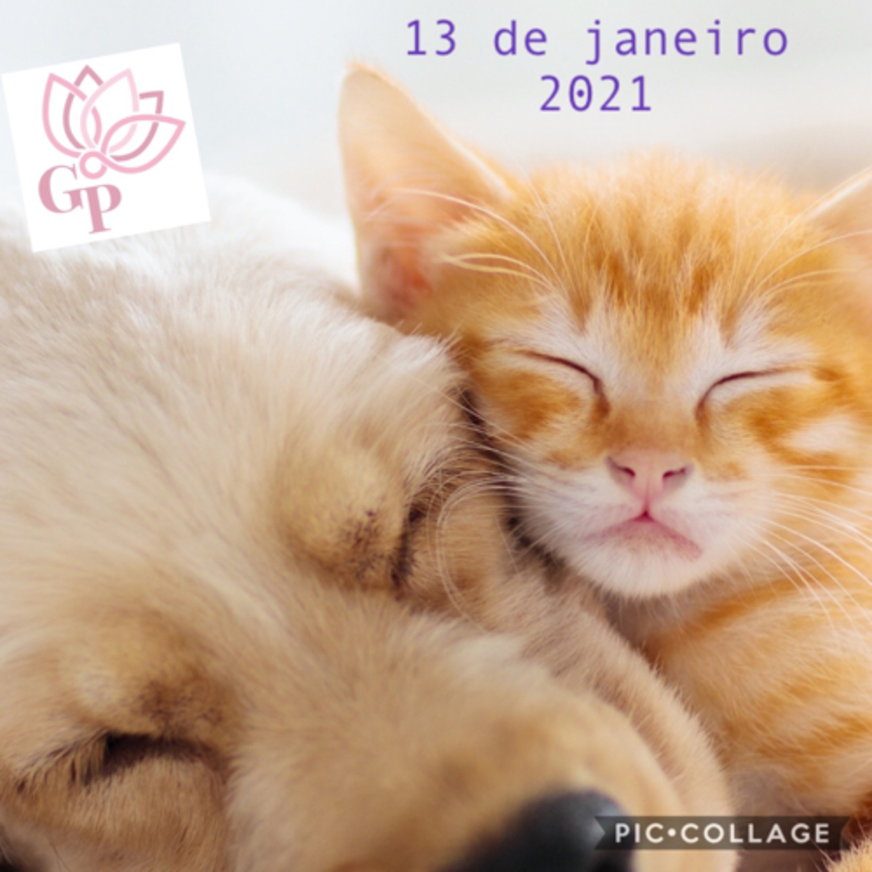 Giovanna L T Paulineli 💜💫