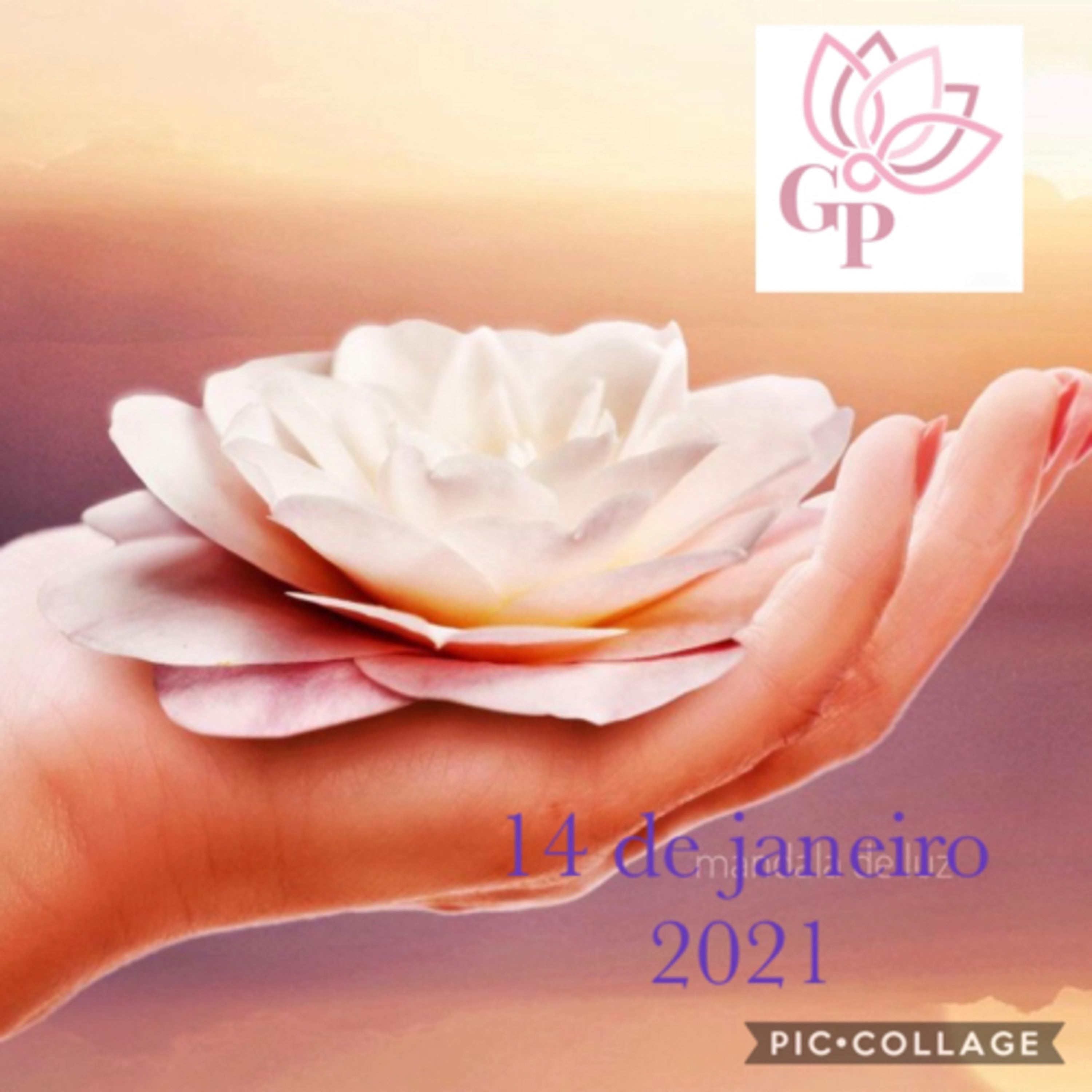Giovanna L T Paulineli 💜💫