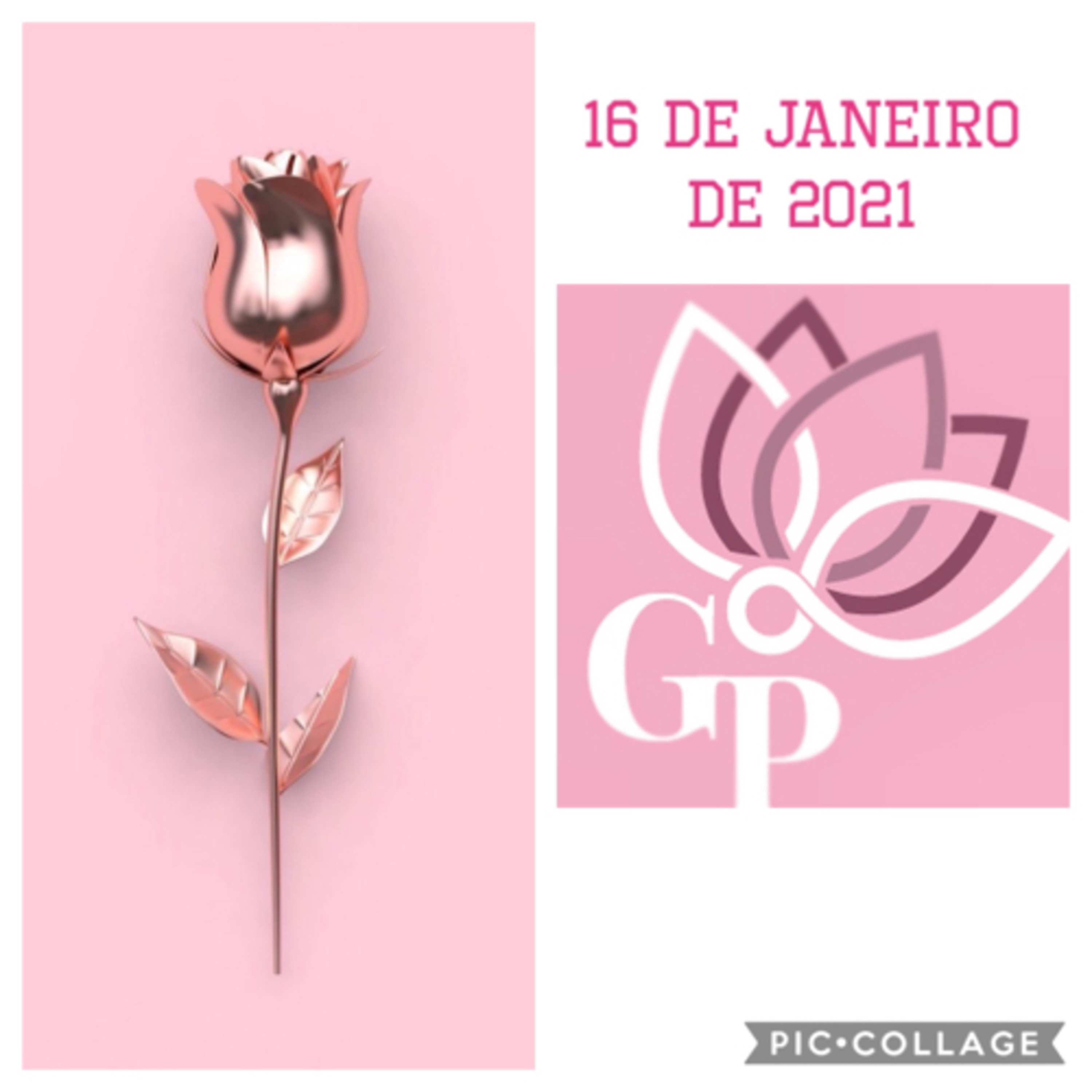 Giovanna L T Paulineli 💜💫