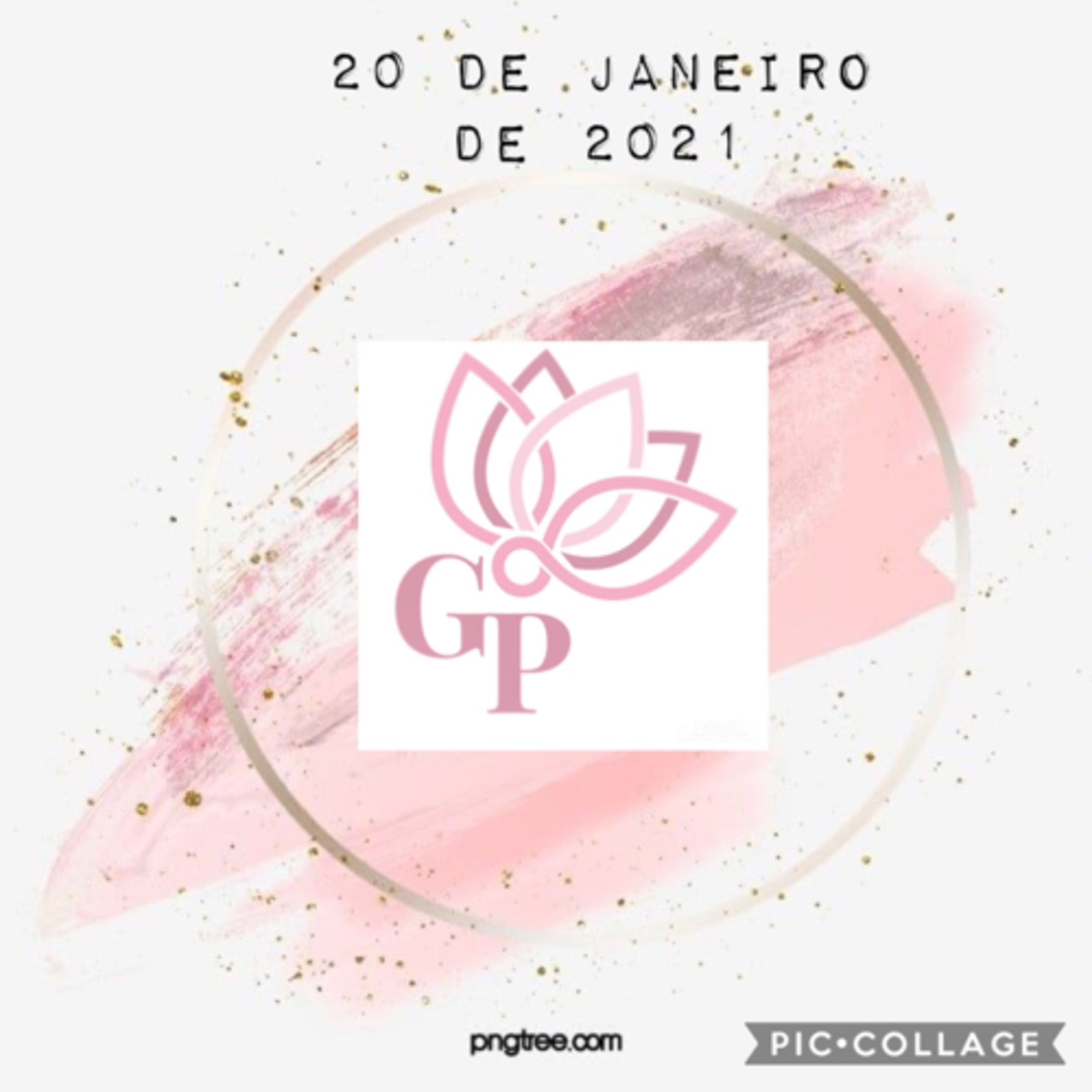Giovanna L T Paulineli 💜💫