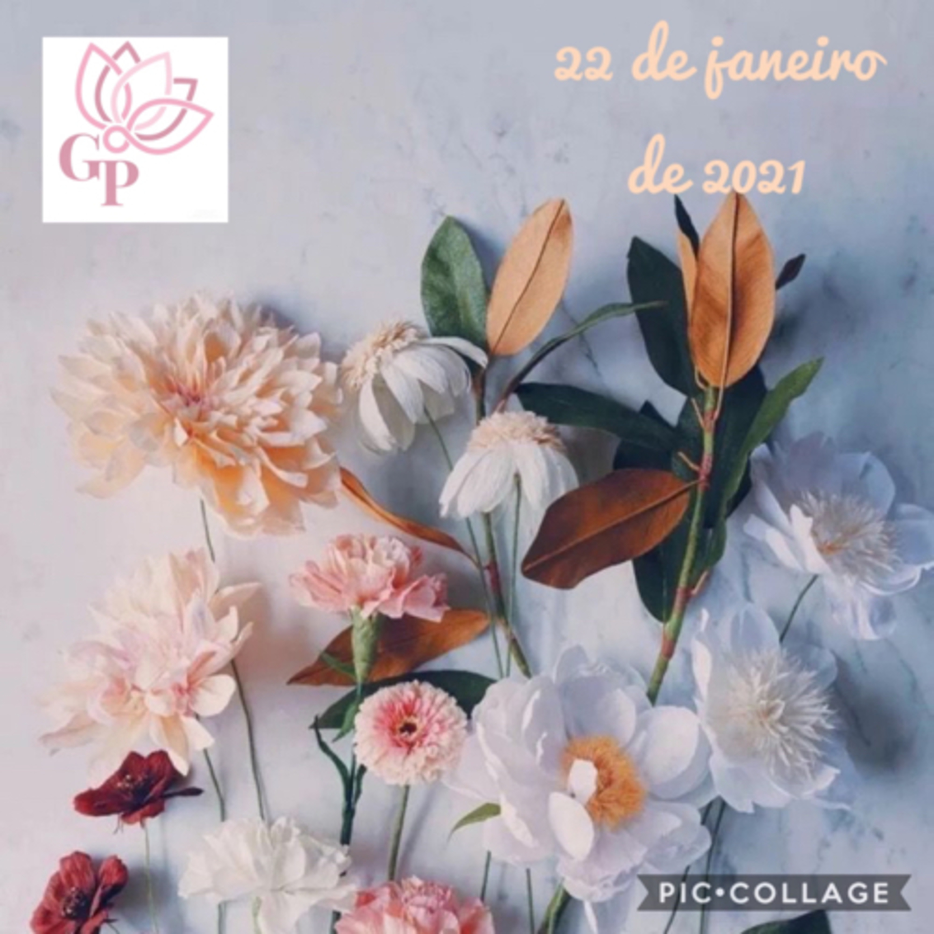 Giovanna L T Paulineli 💜💫
