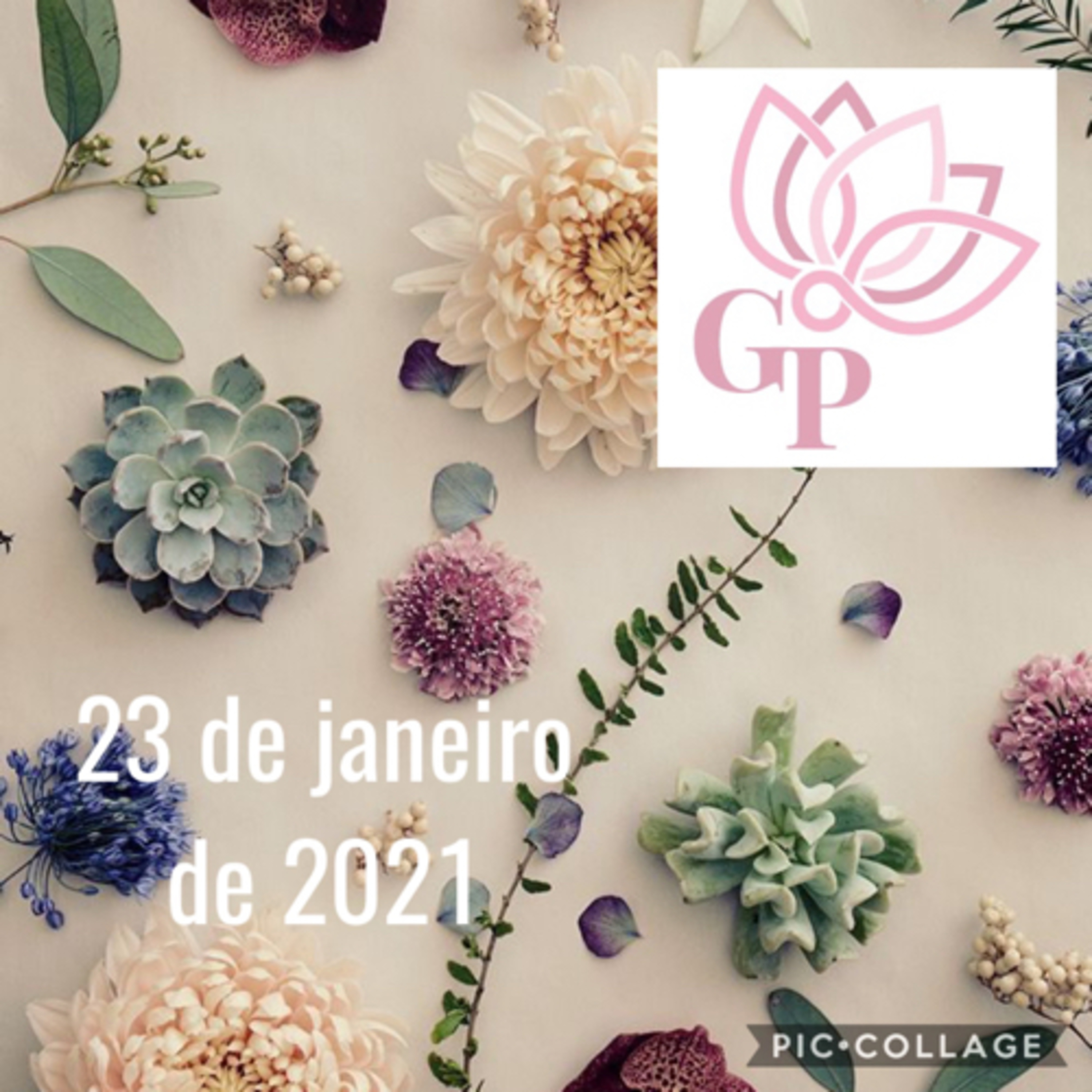 Giovanna L T Paulineli 💜💫