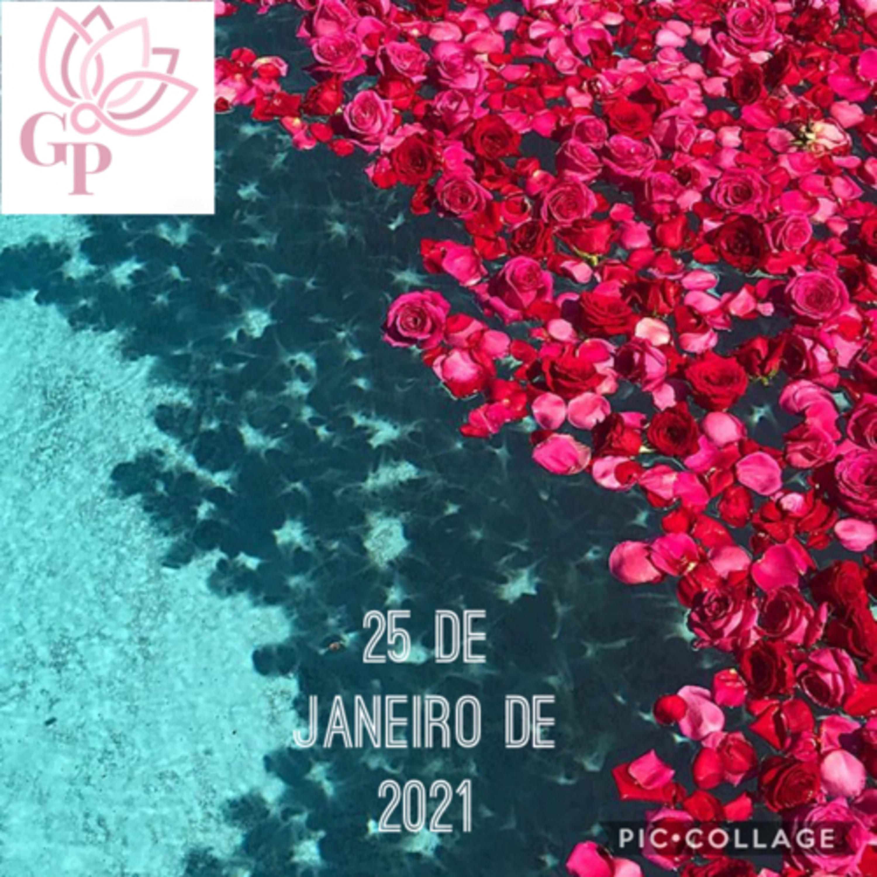 Giovanna L T Paulineli 💜💫