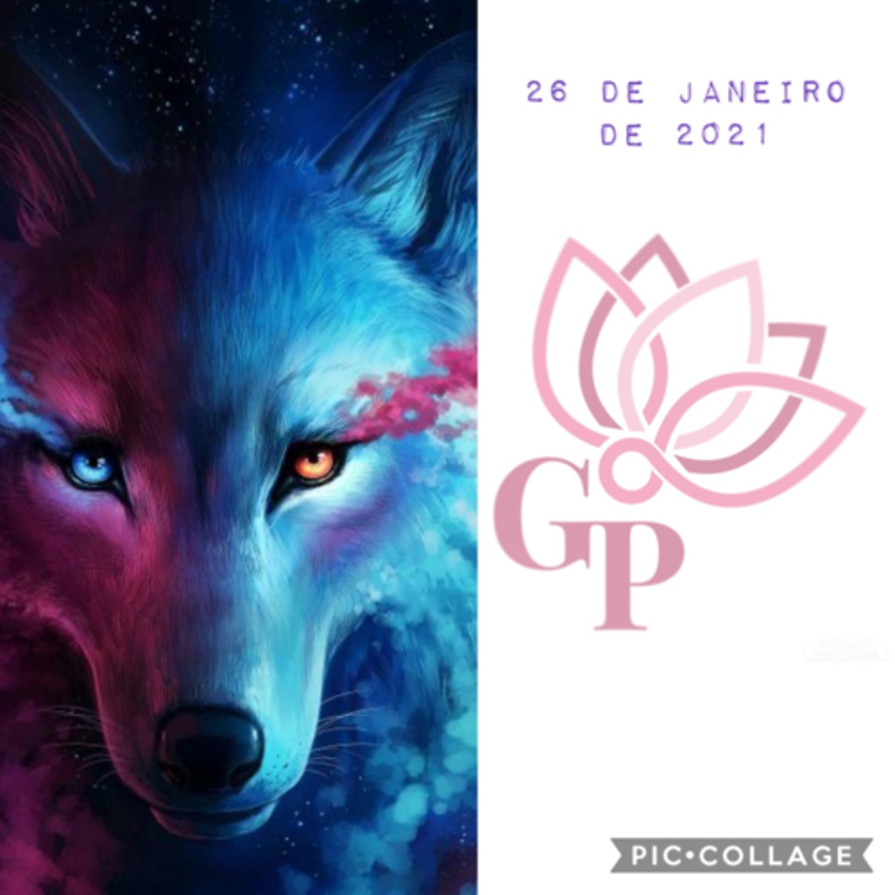 Giovanna L T Paulineli 💜💫