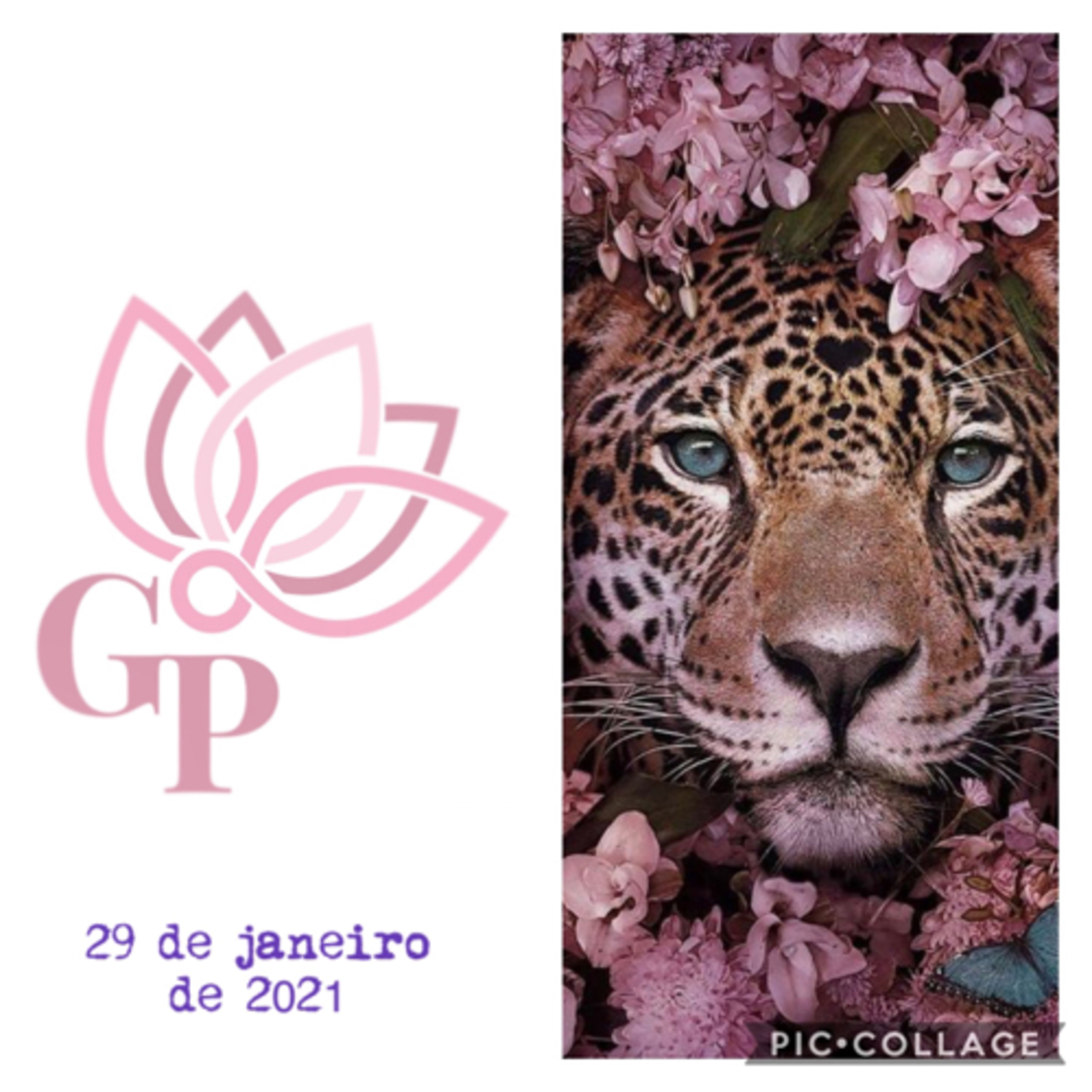 Giovanna L T Paulineli 💜💫